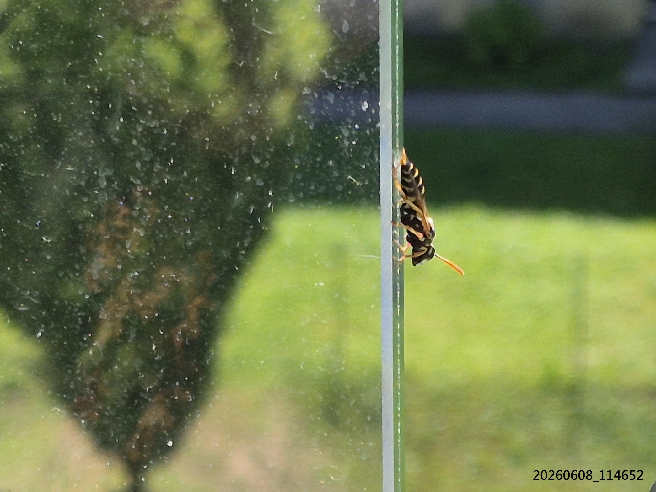 Juni_2026_41