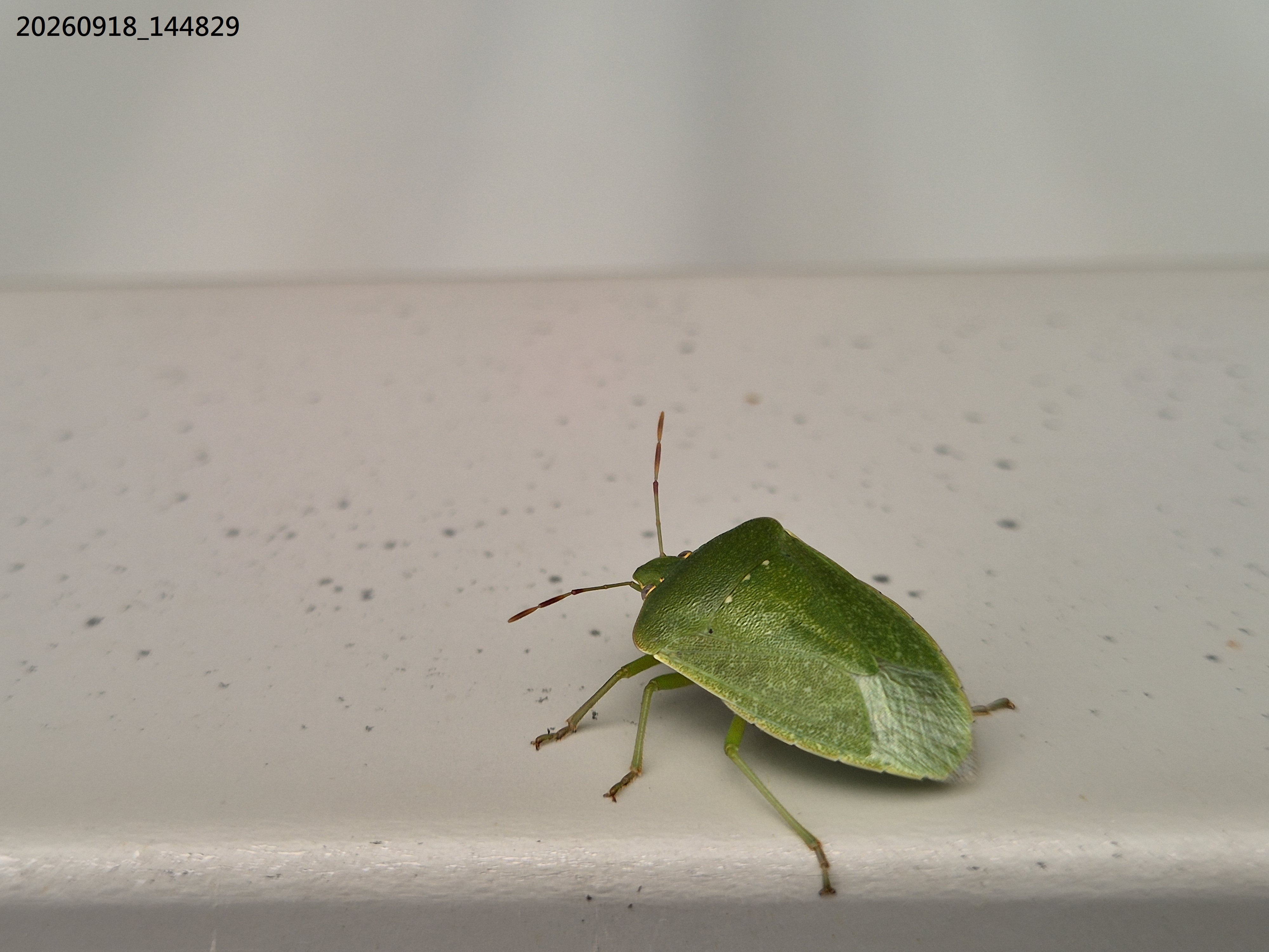 Sep_2026_54