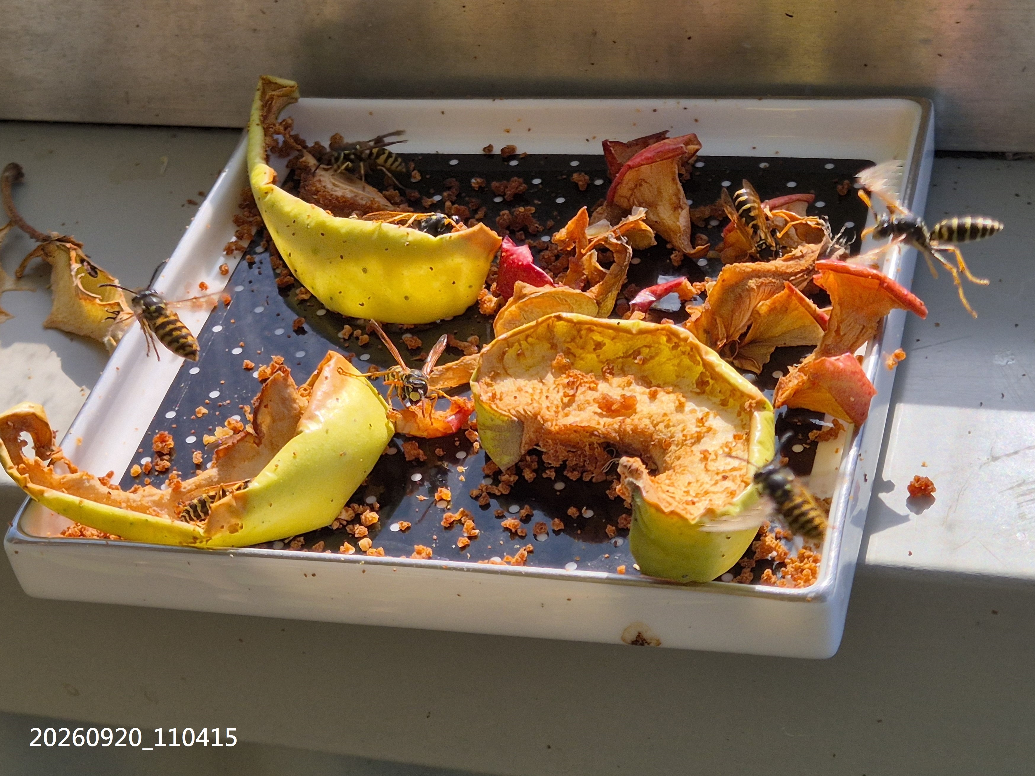 Sep_2026_58