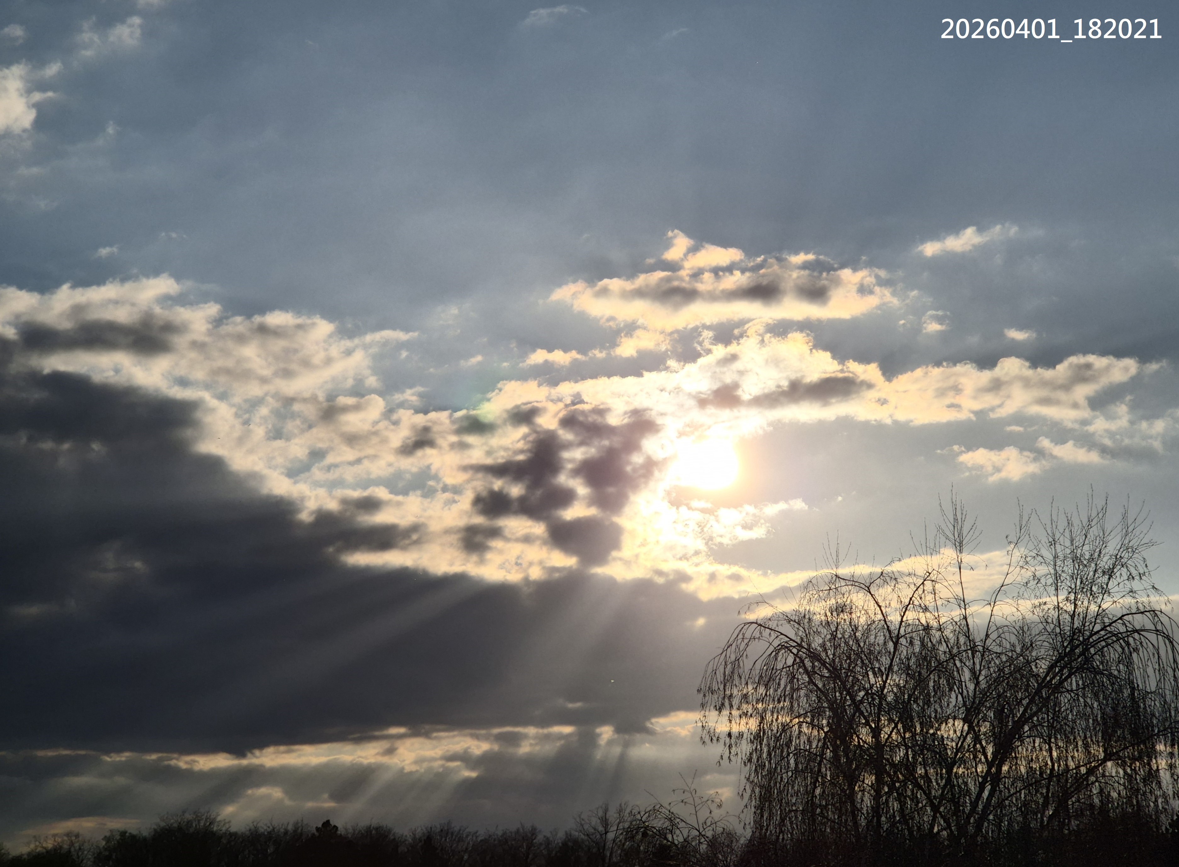 B2026_4_3