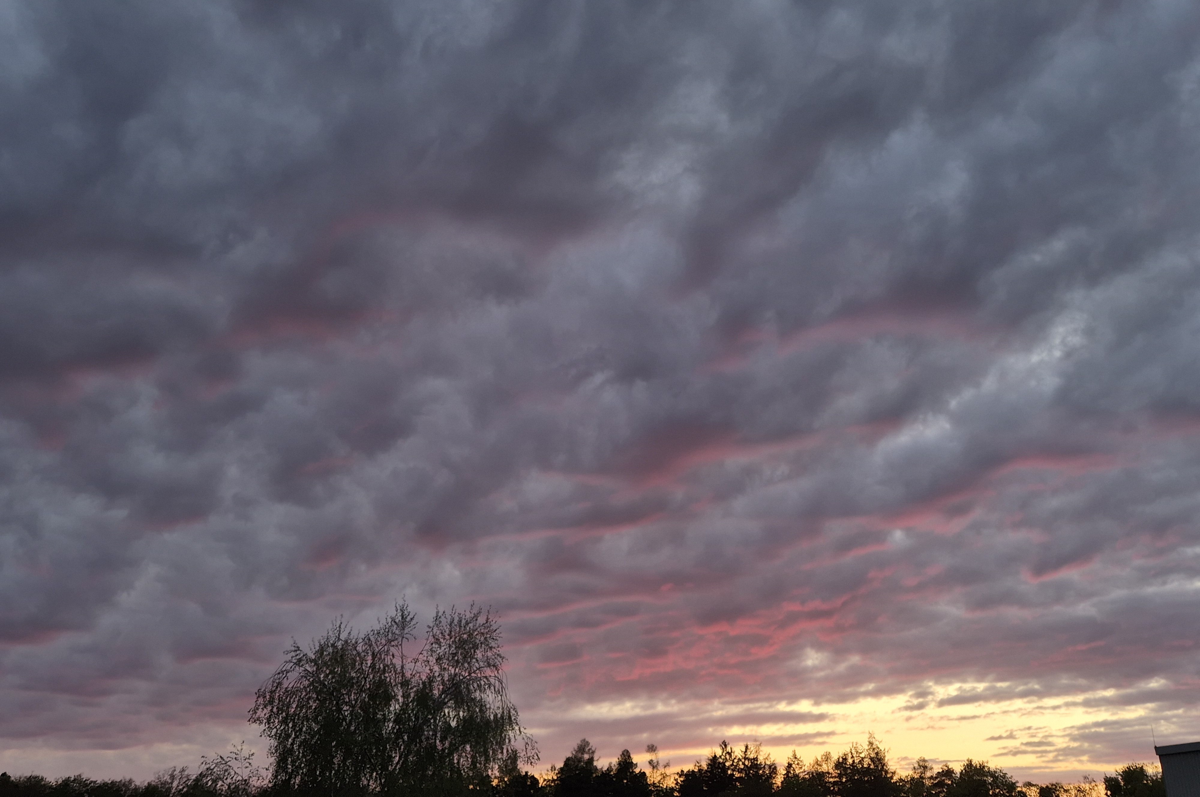B2026_4_37