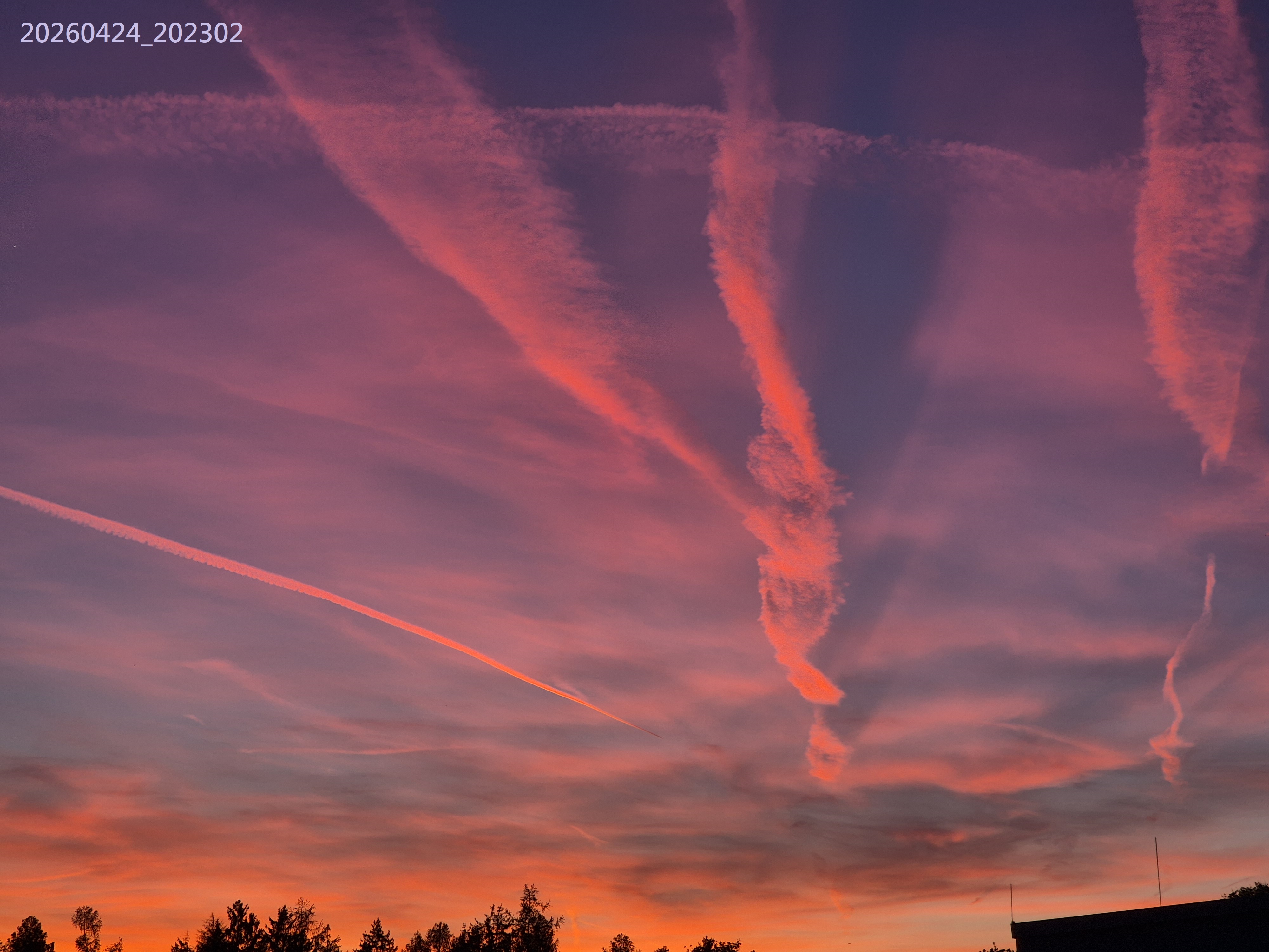 B2026_4_46