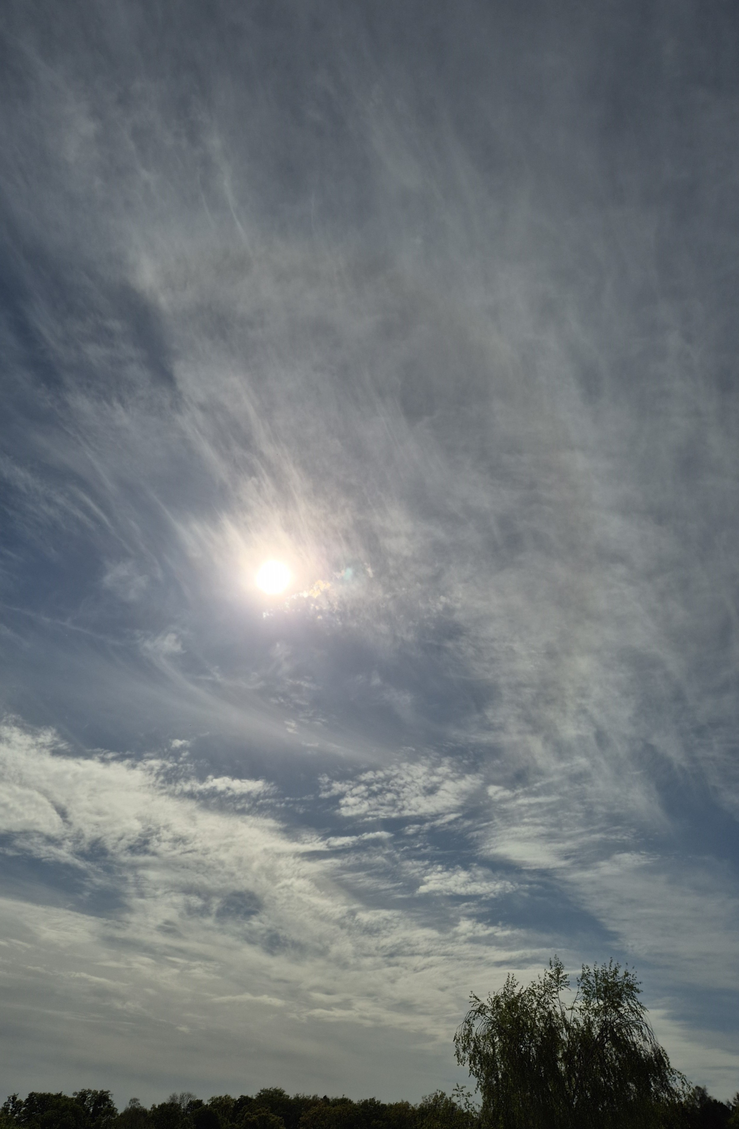 B2026_4_56