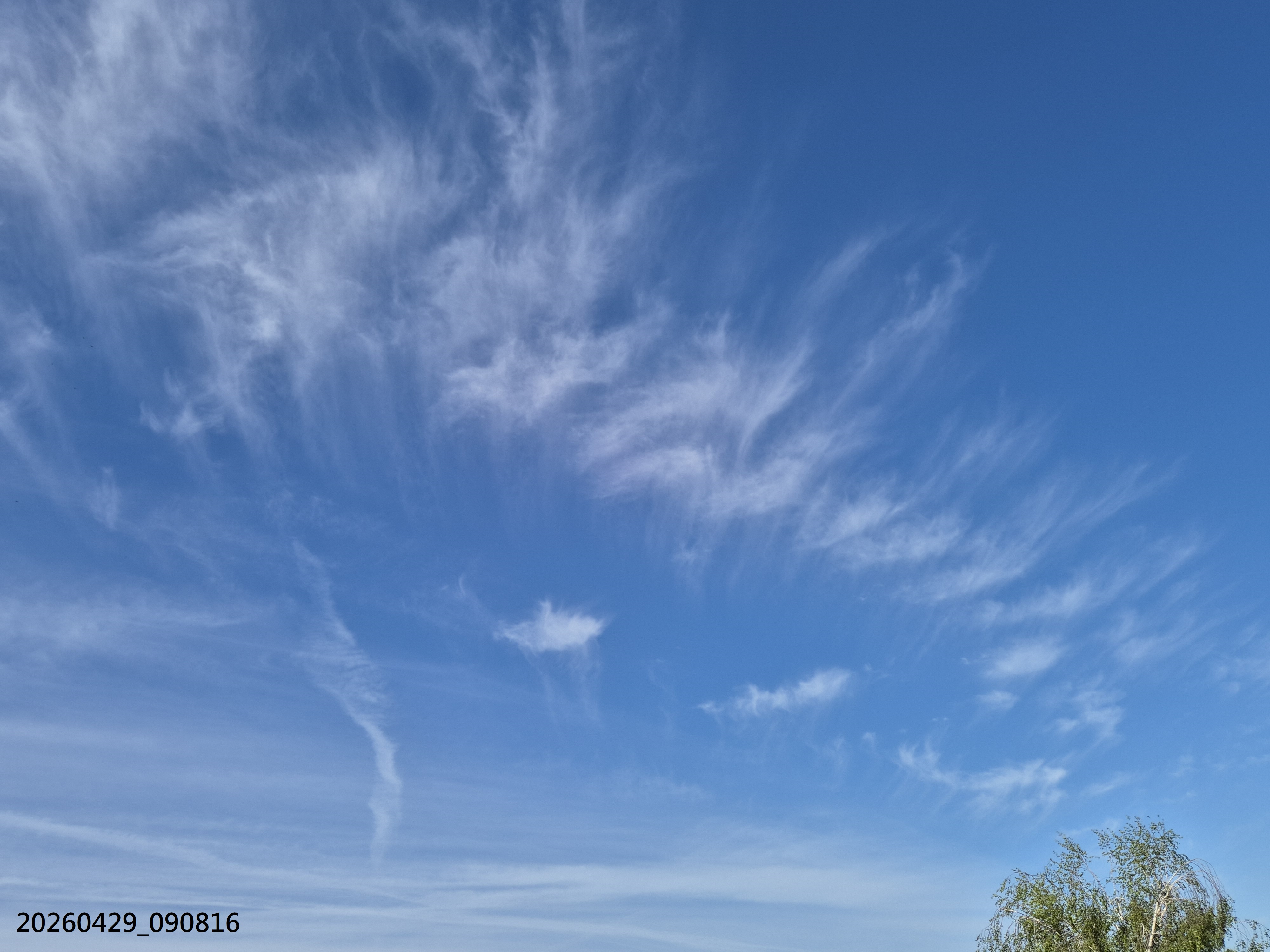 B2026_4_65