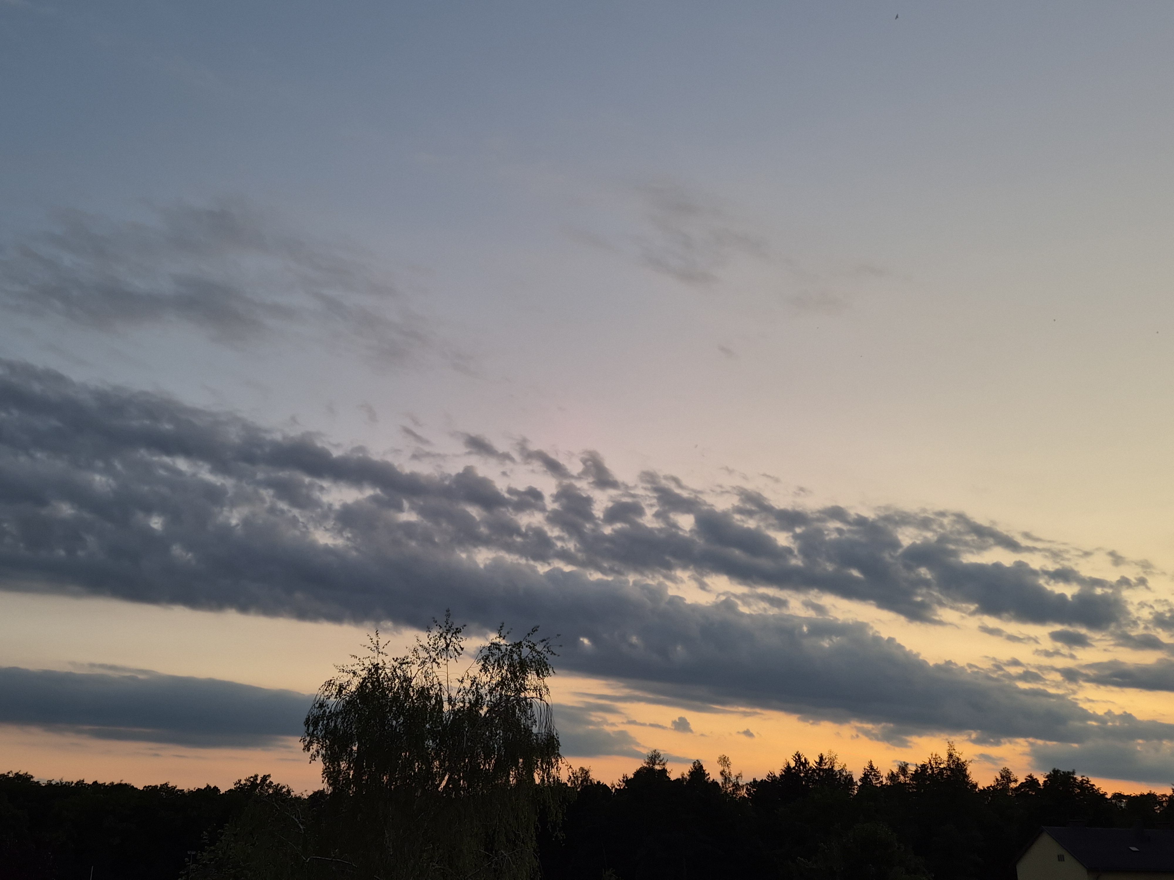 B2026_07_3