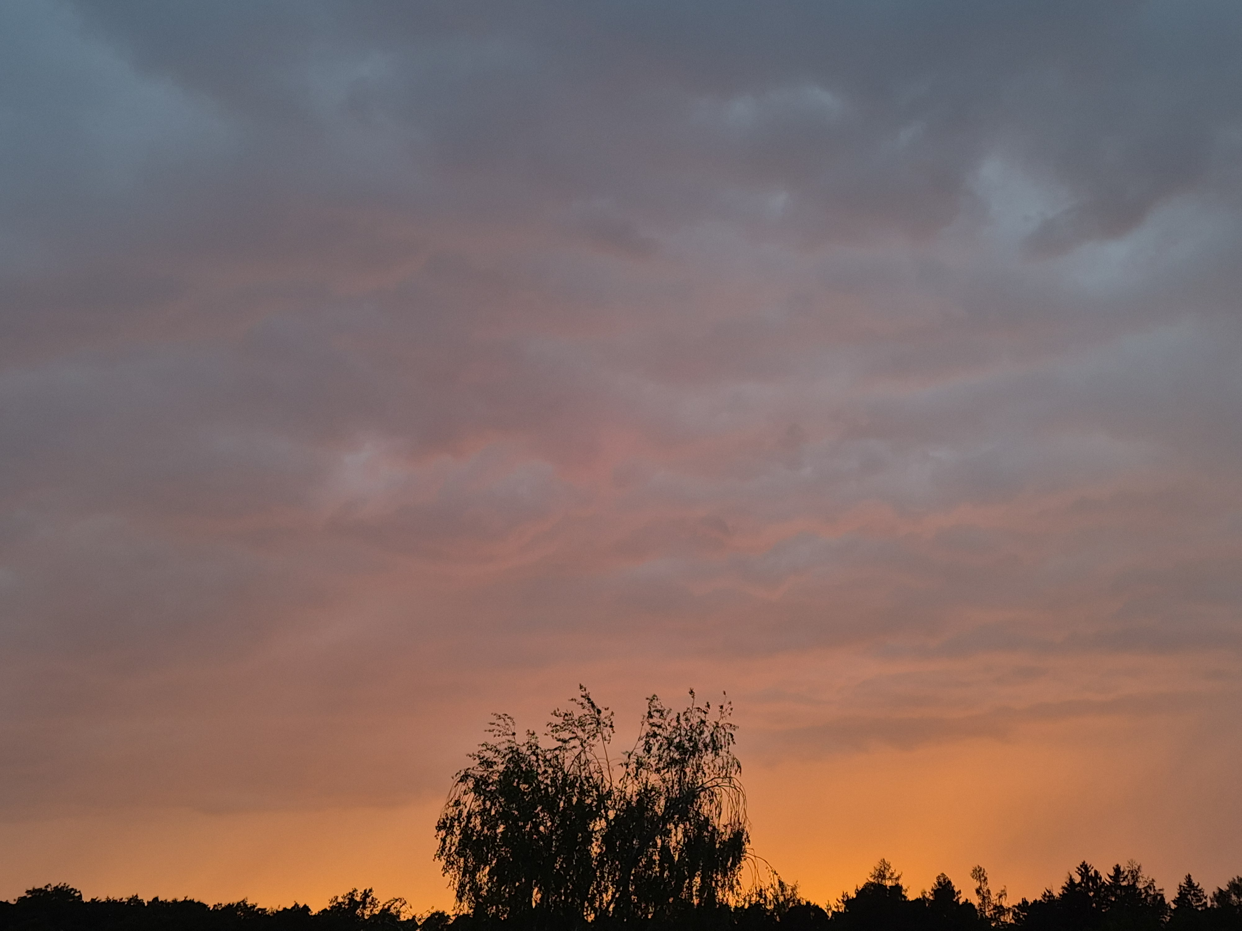 B2026_07_35