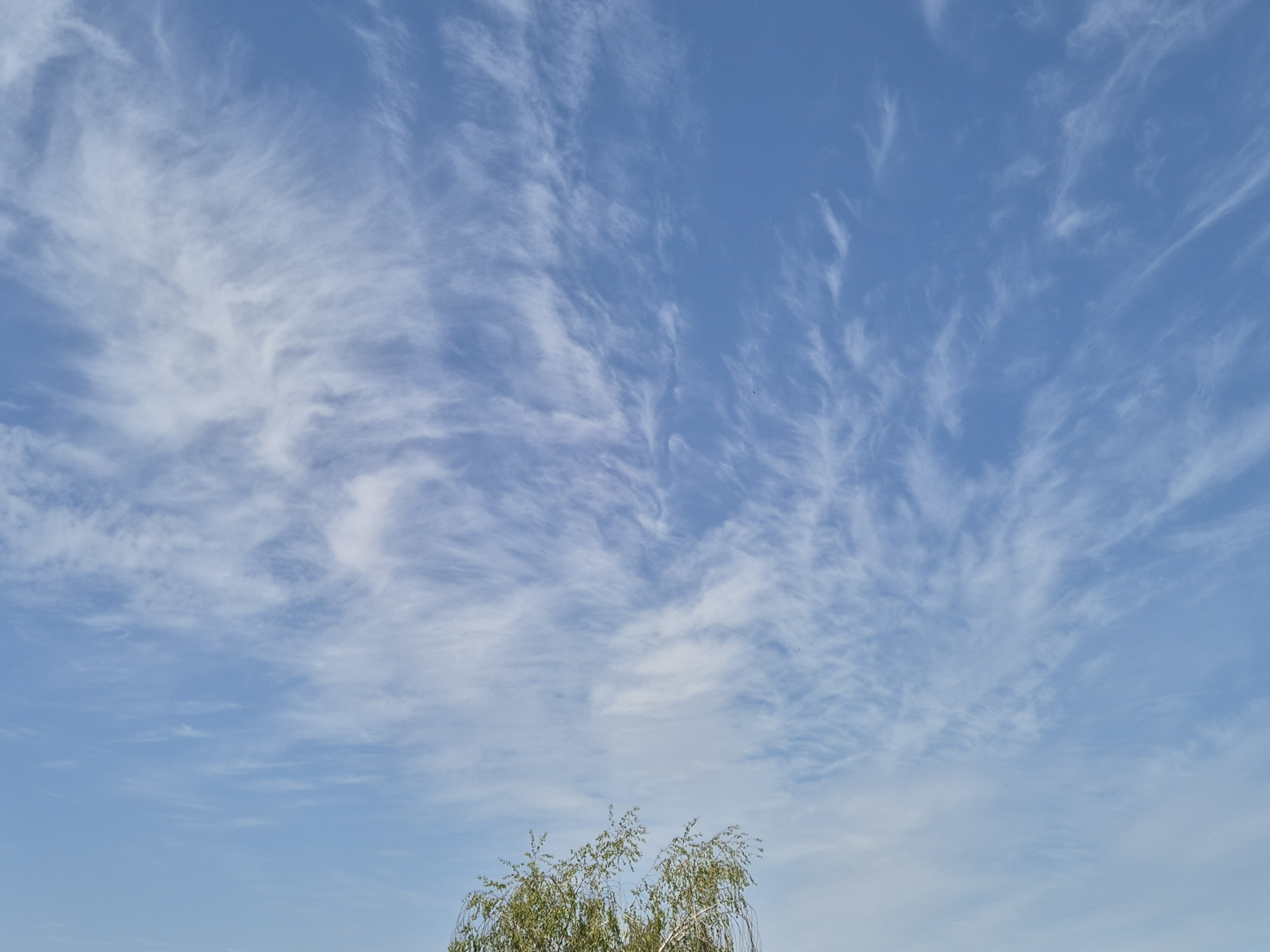 B2026_07_42