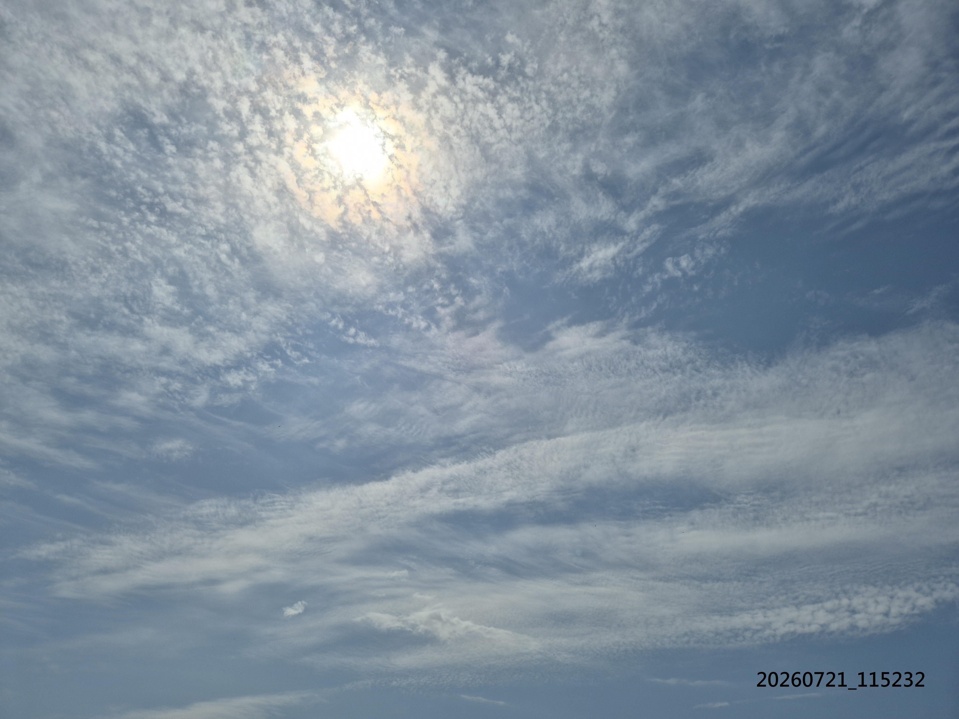 B2026_07_44