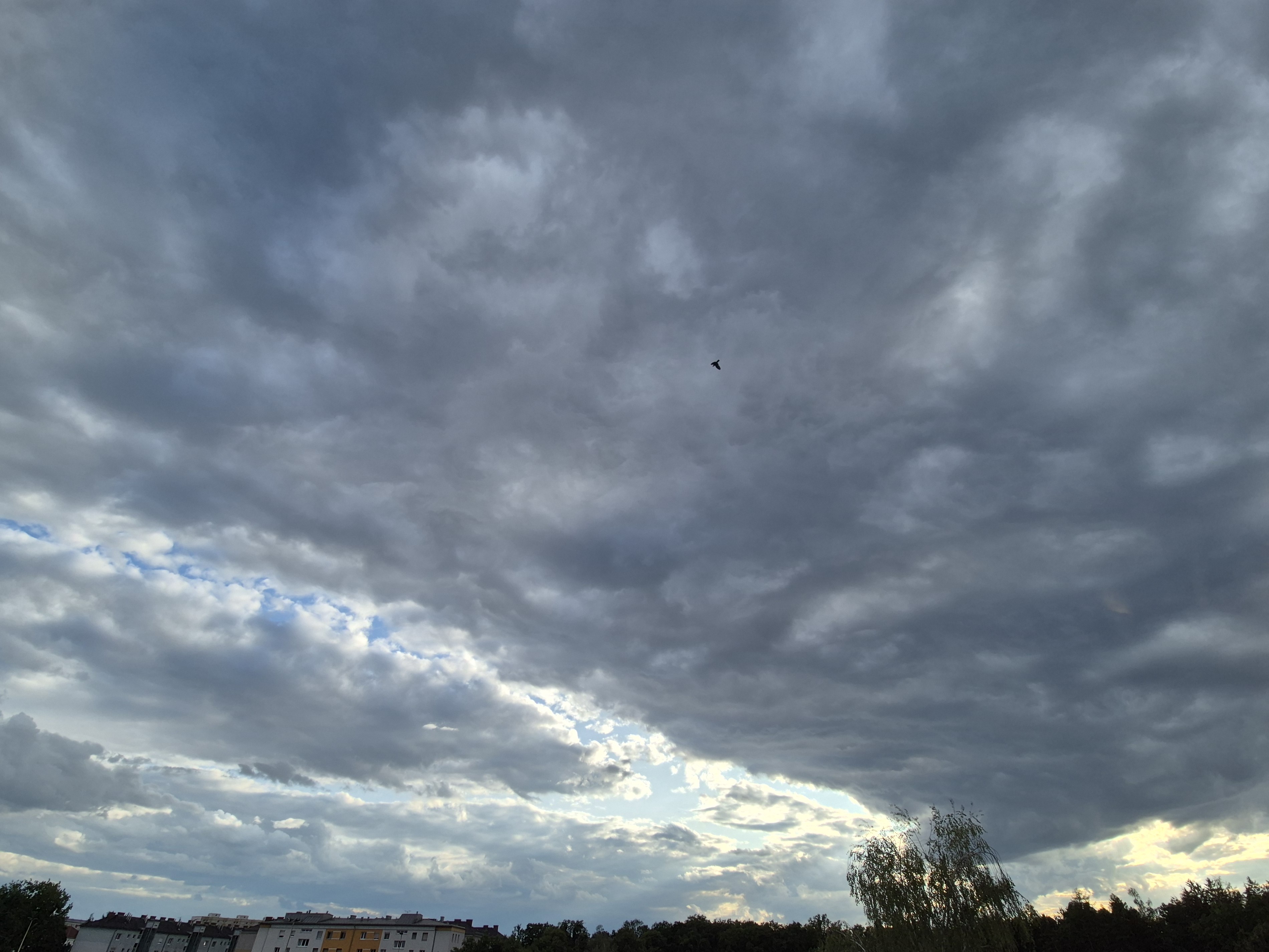 B2026_07_50