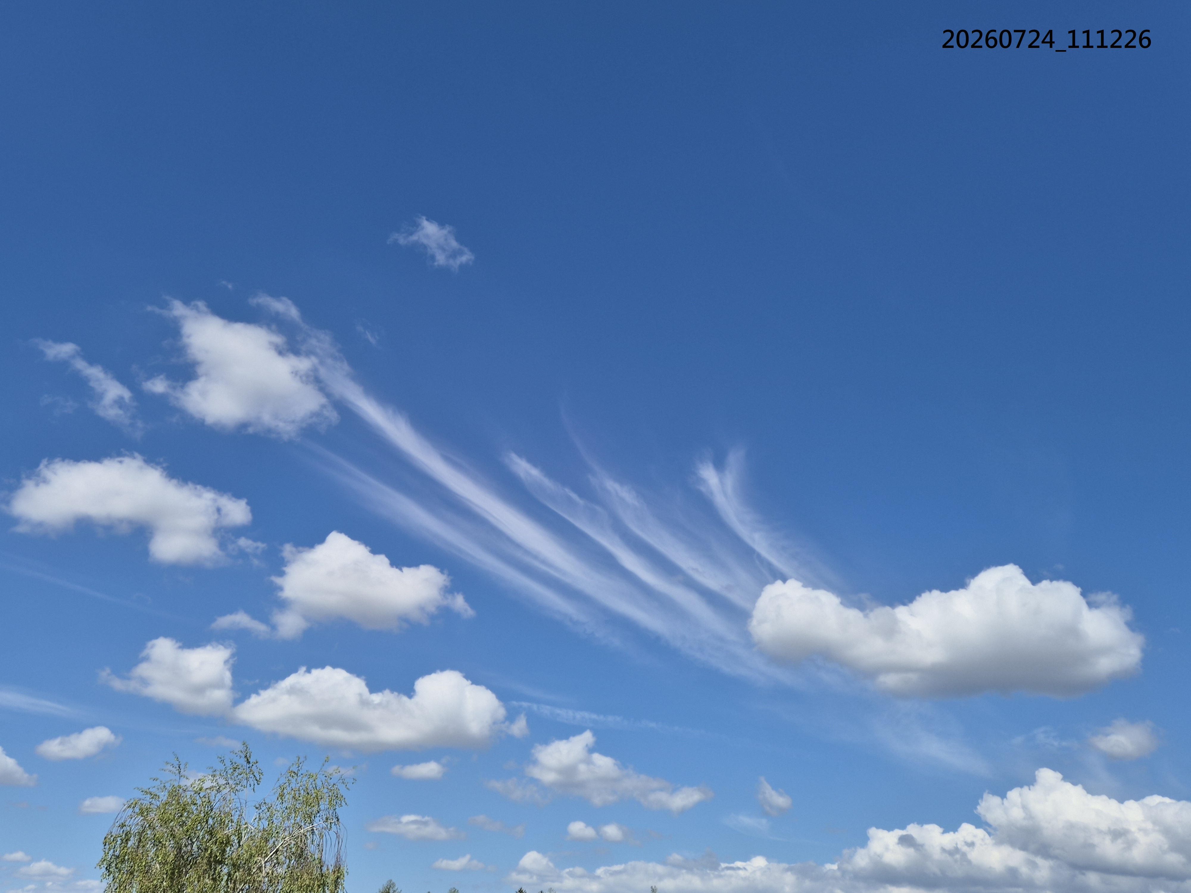 B2026_07_56