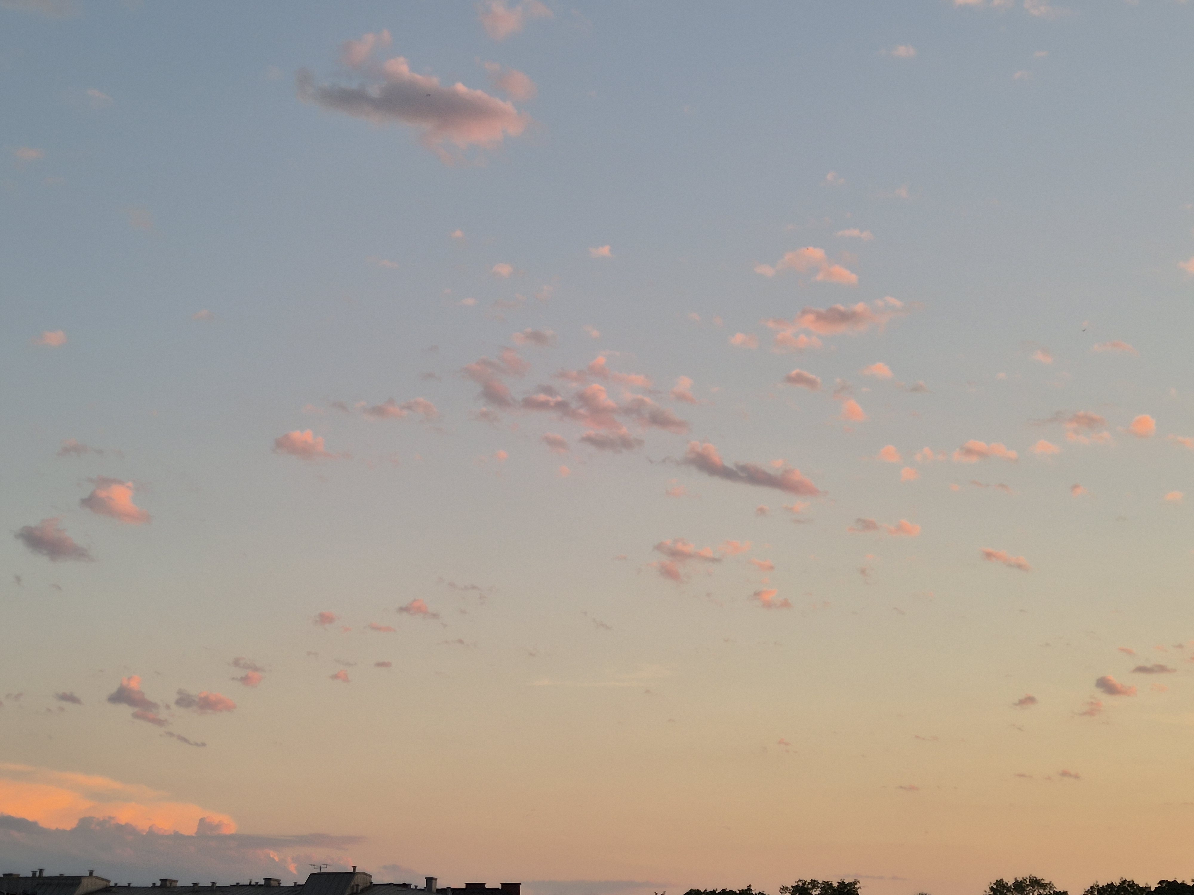 B2026_07_71