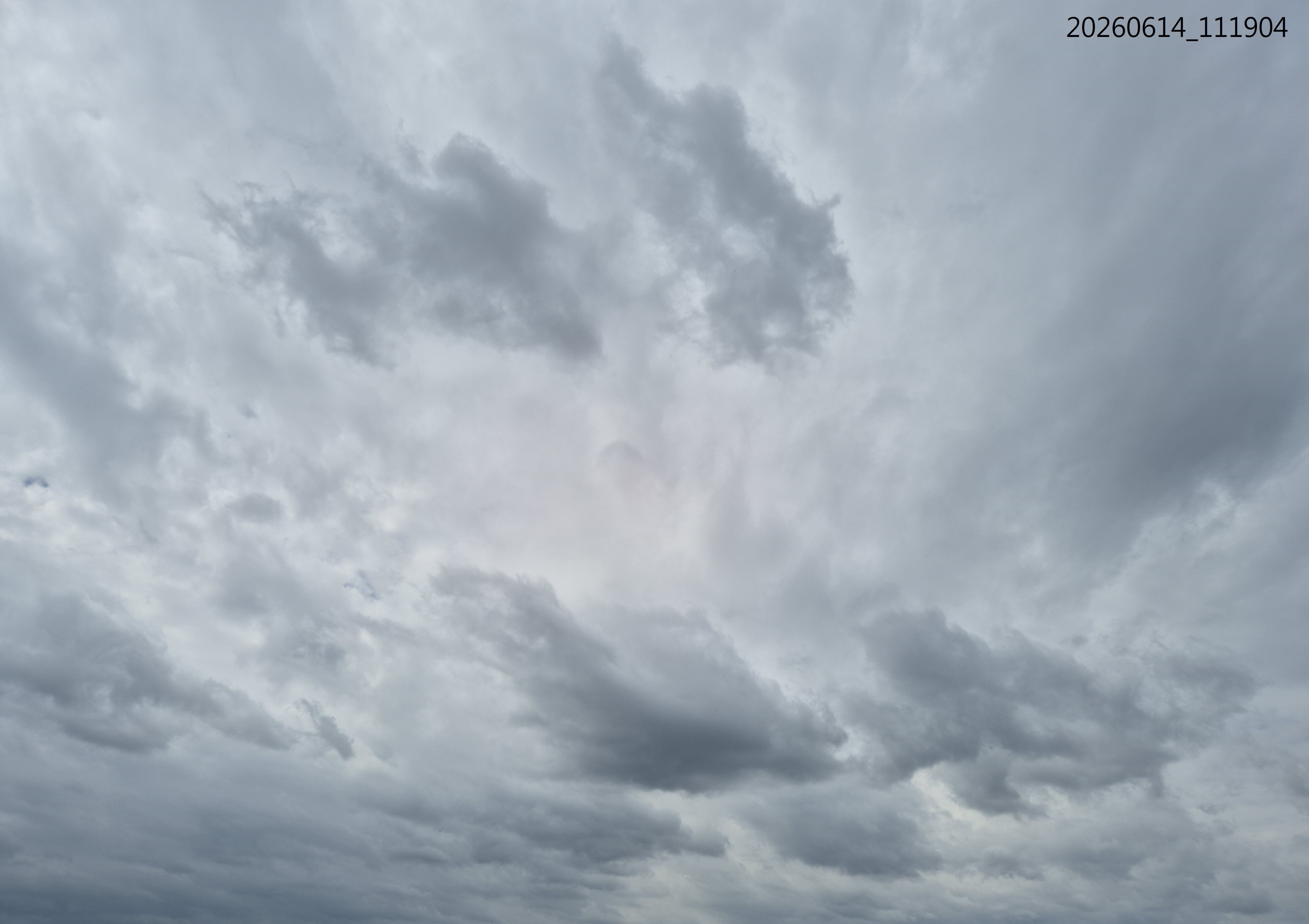 B2026_06_36