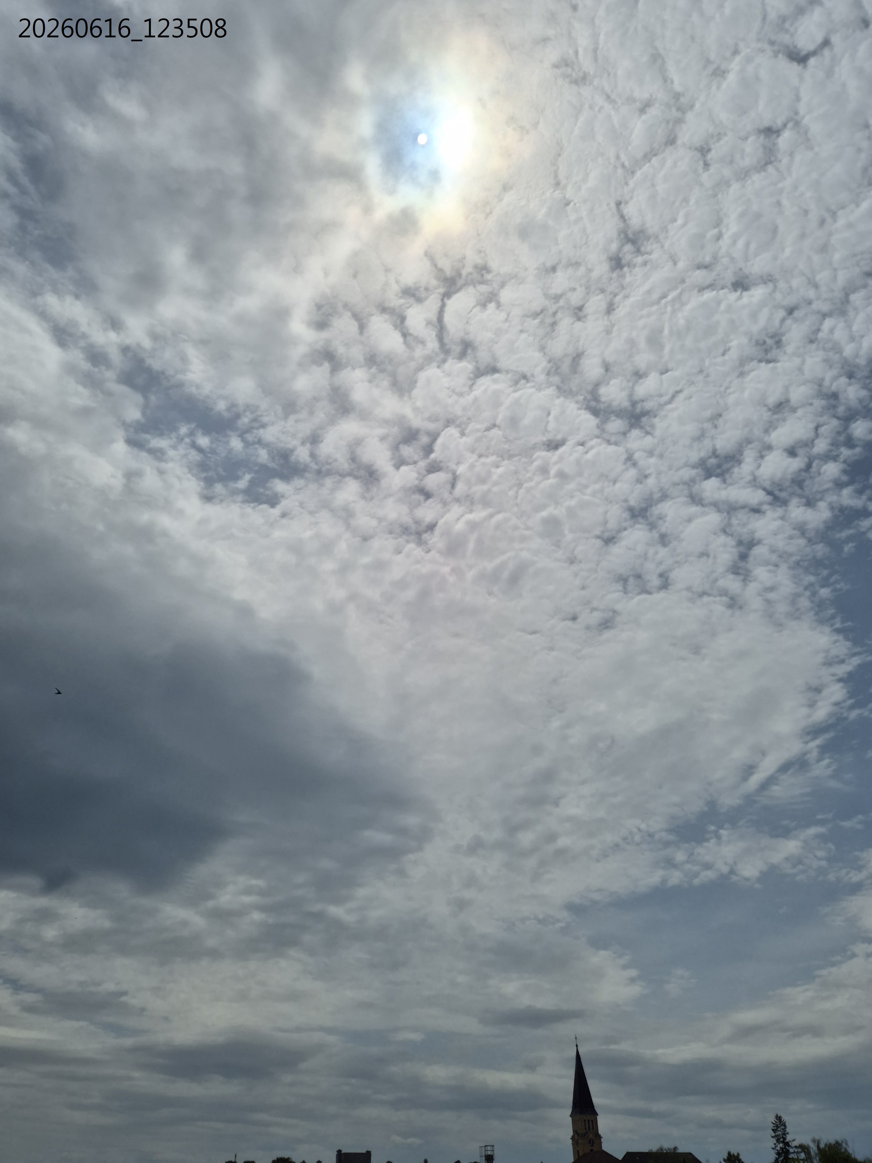 B2026_06_40