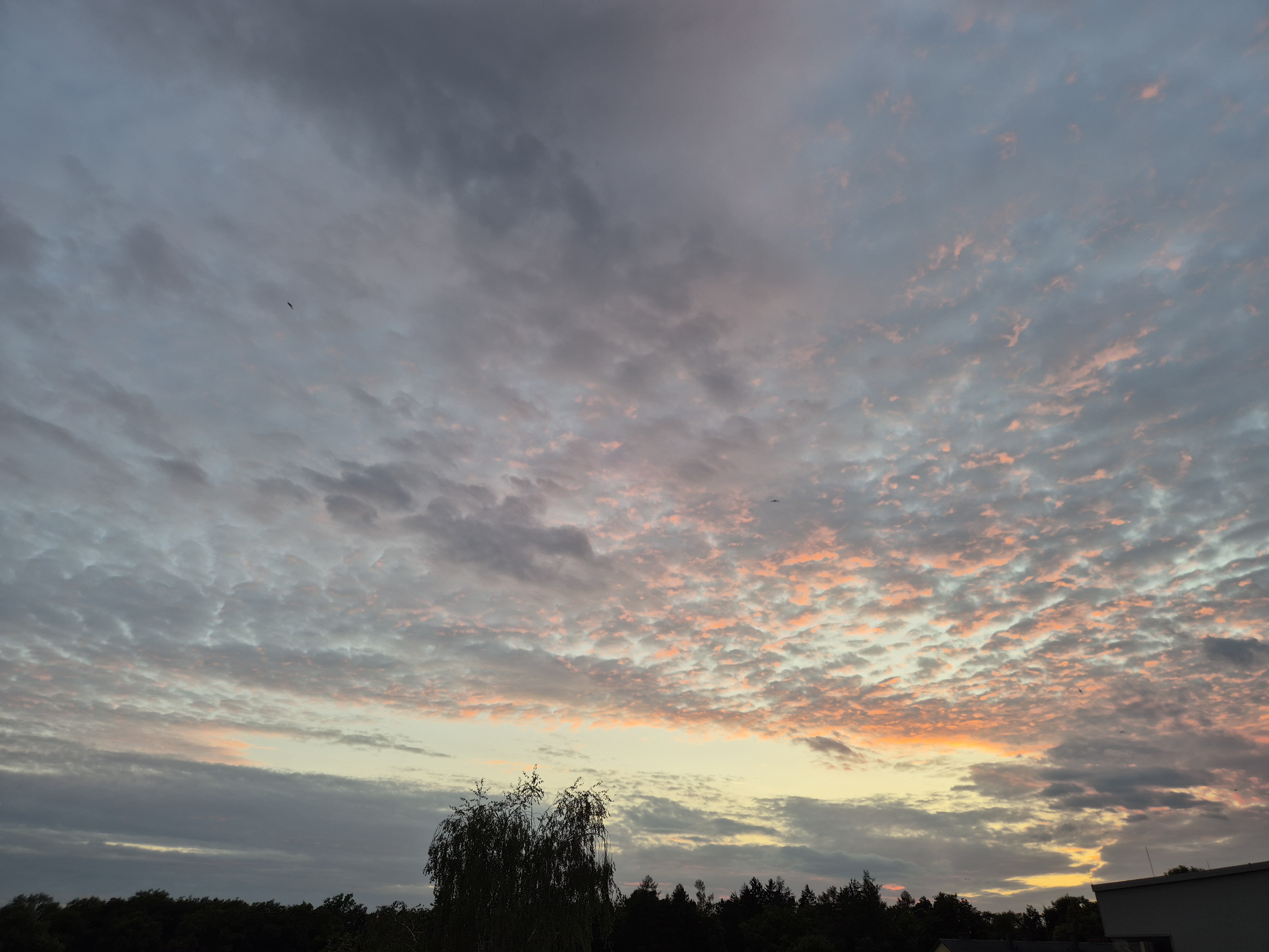 B2026_06_44
