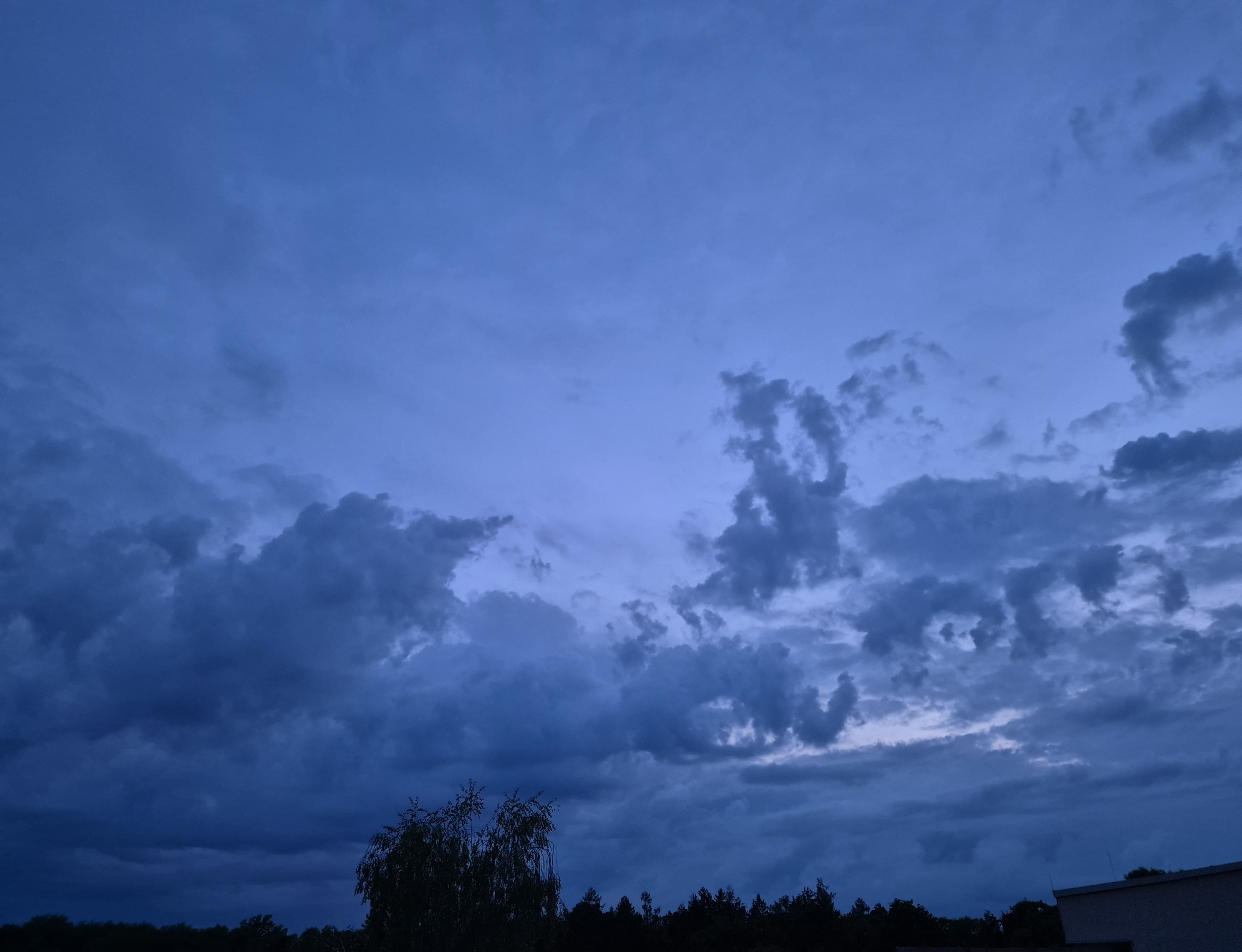 B2026_06_5