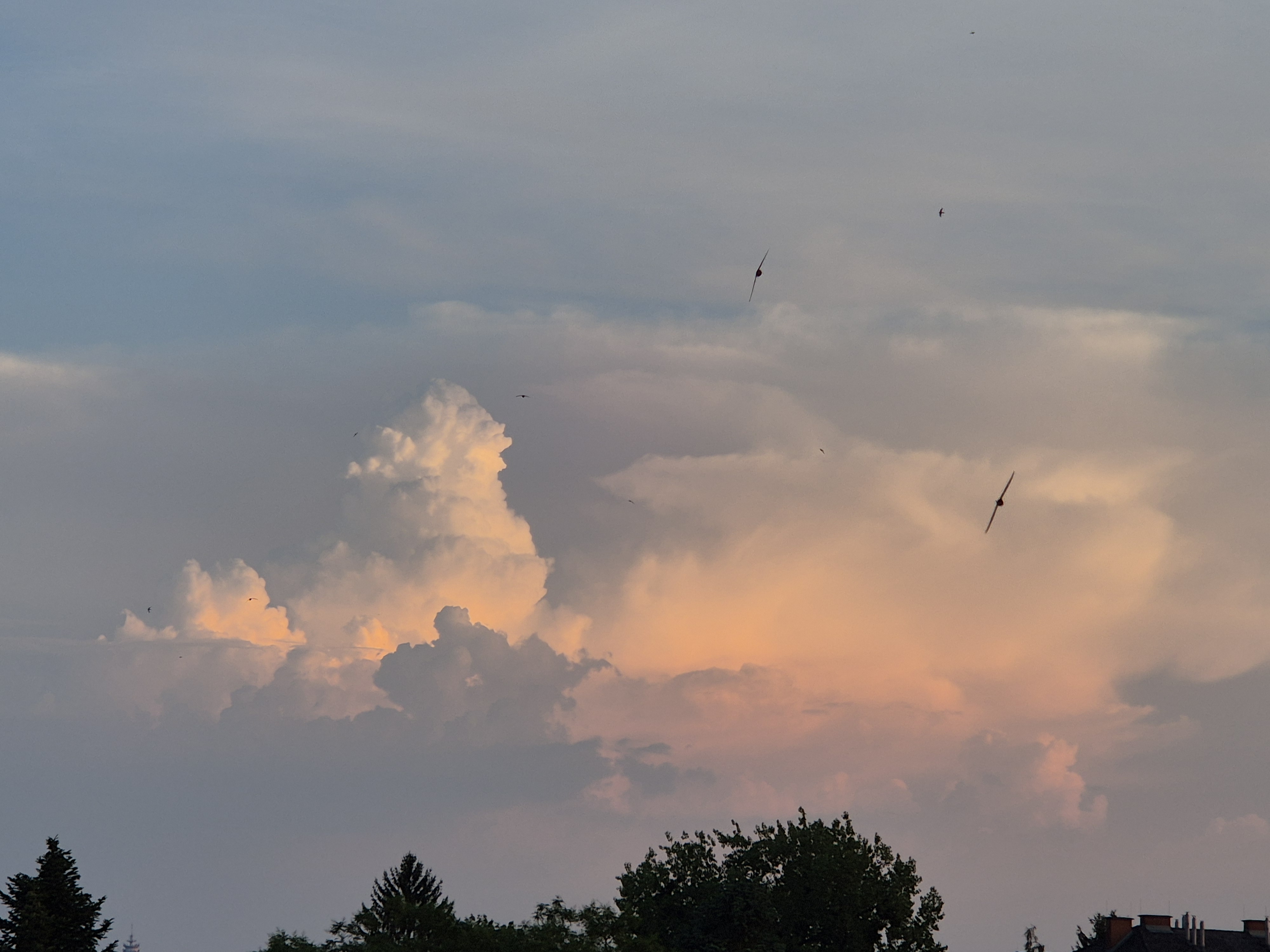 B2026_06_62
