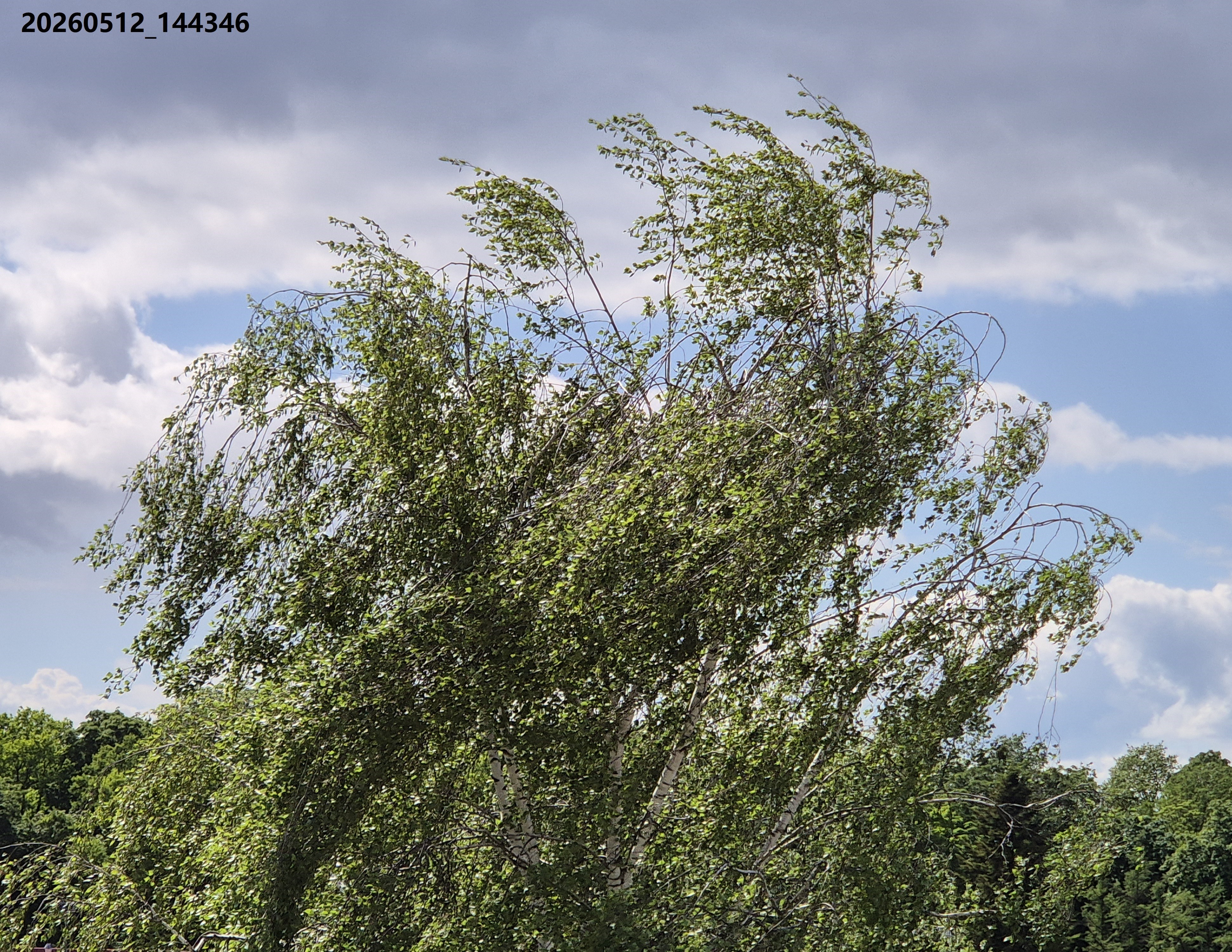 B2026_05_27