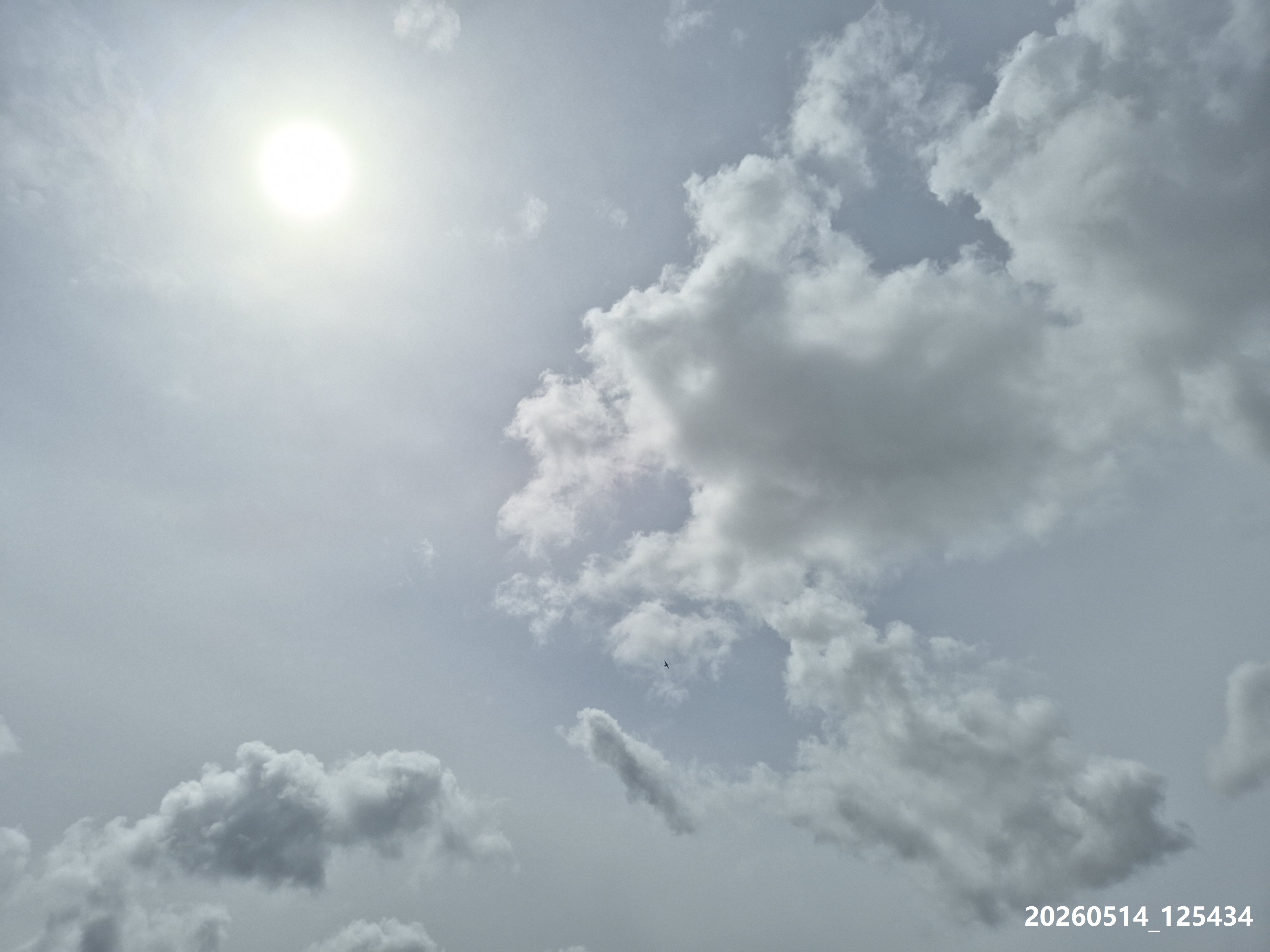 B2026_05_31