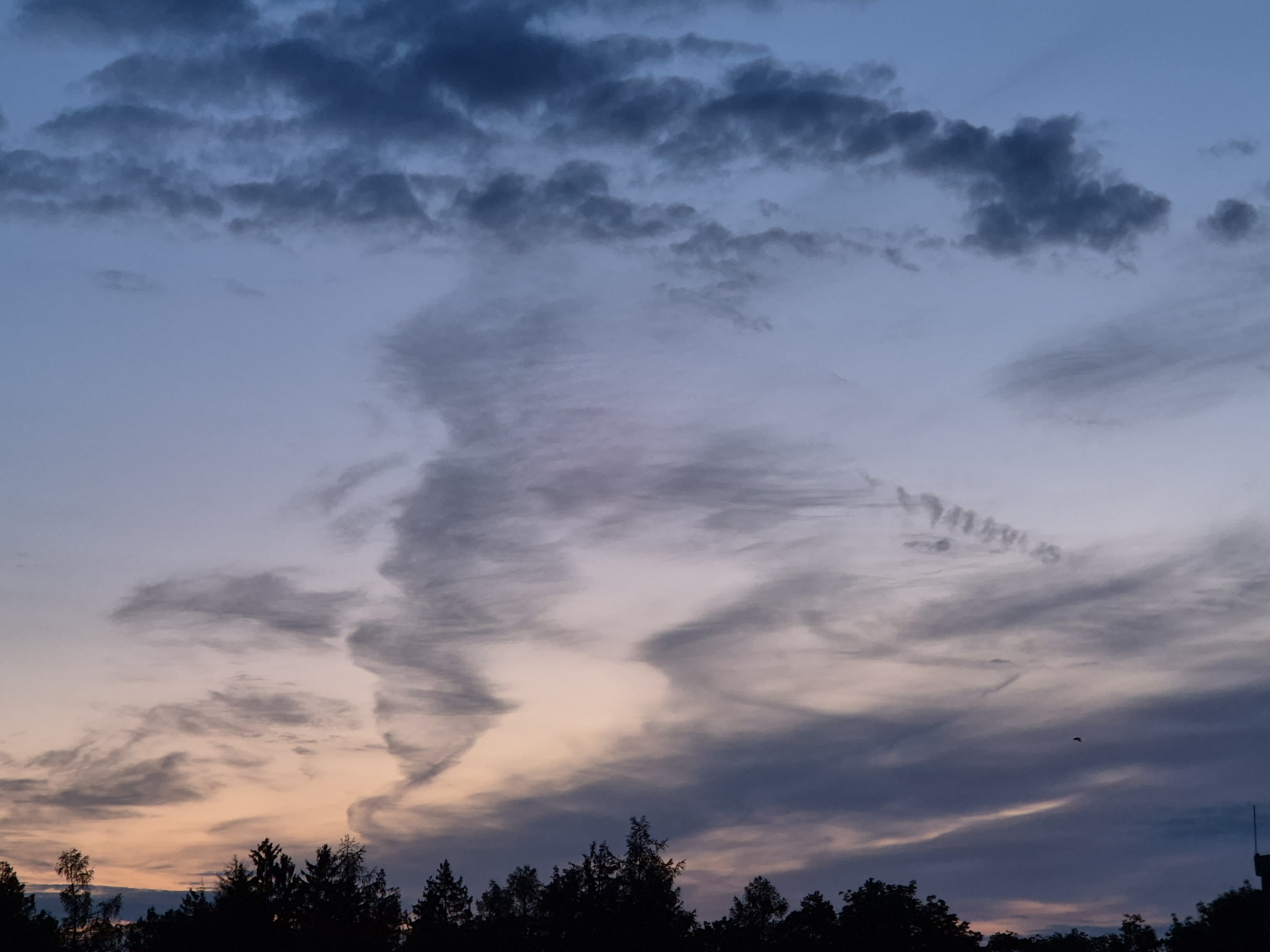 B2026_05_41