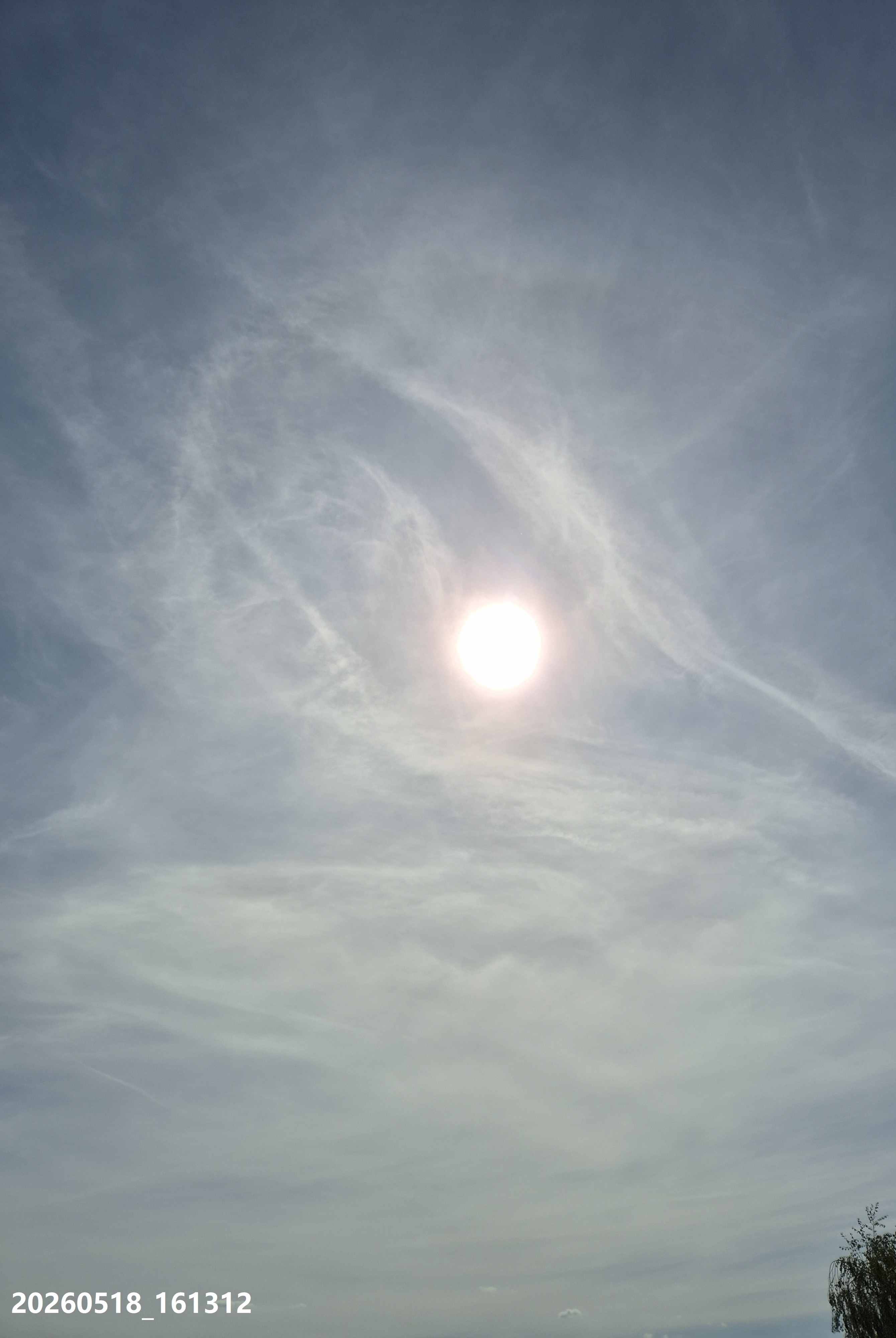 B2026_05_42