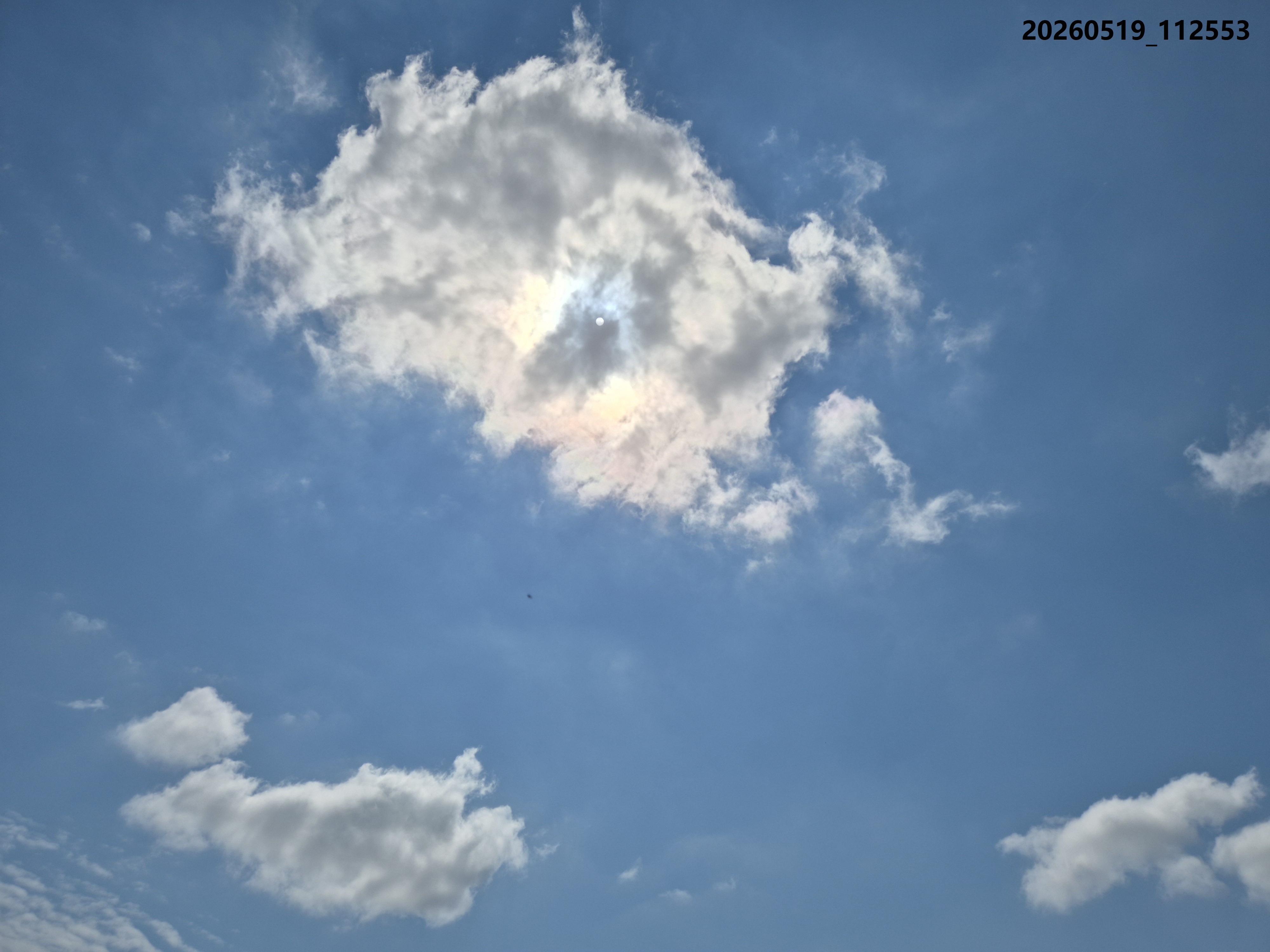 B2026_05_44