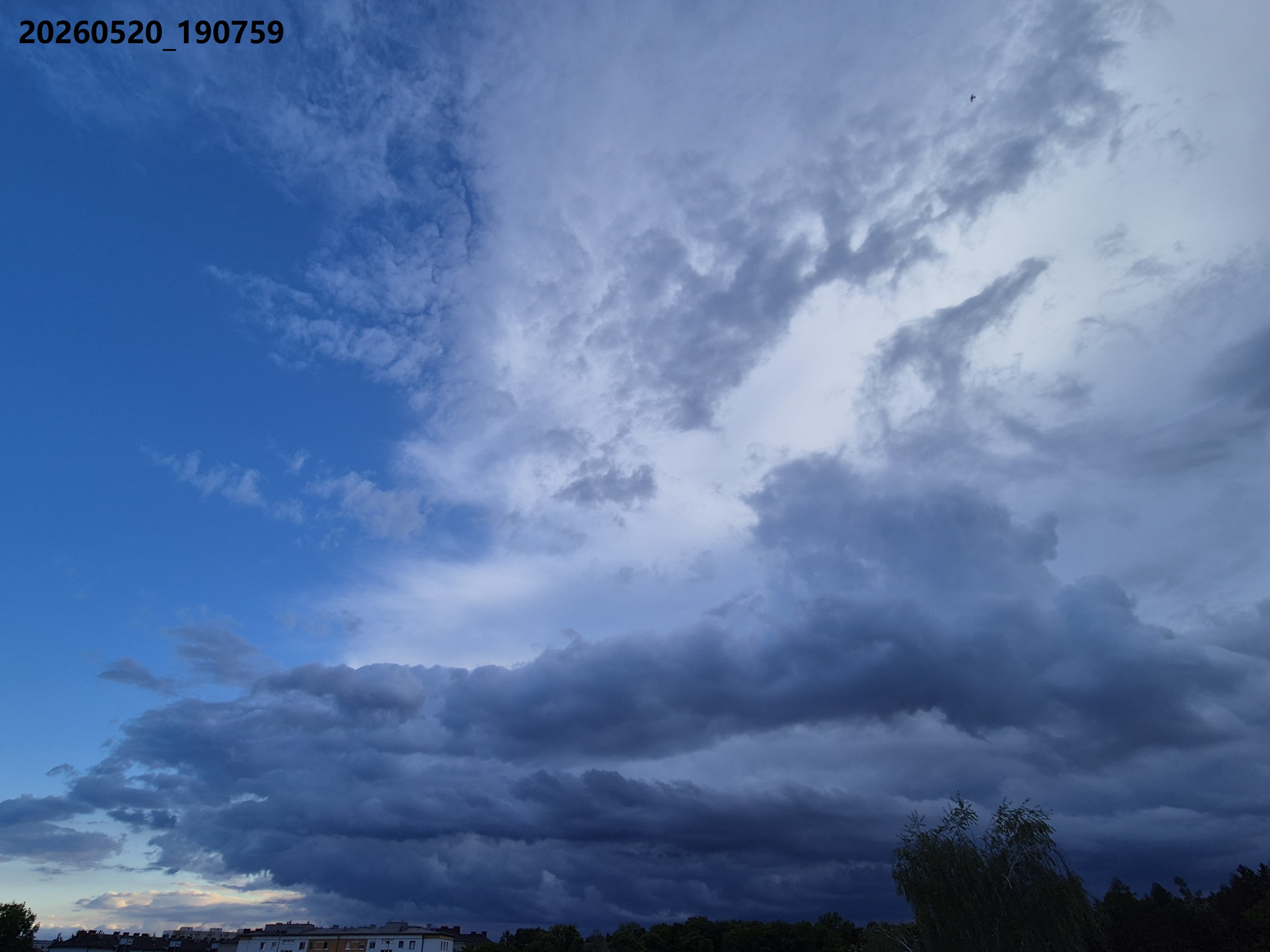 B2026_05_46
