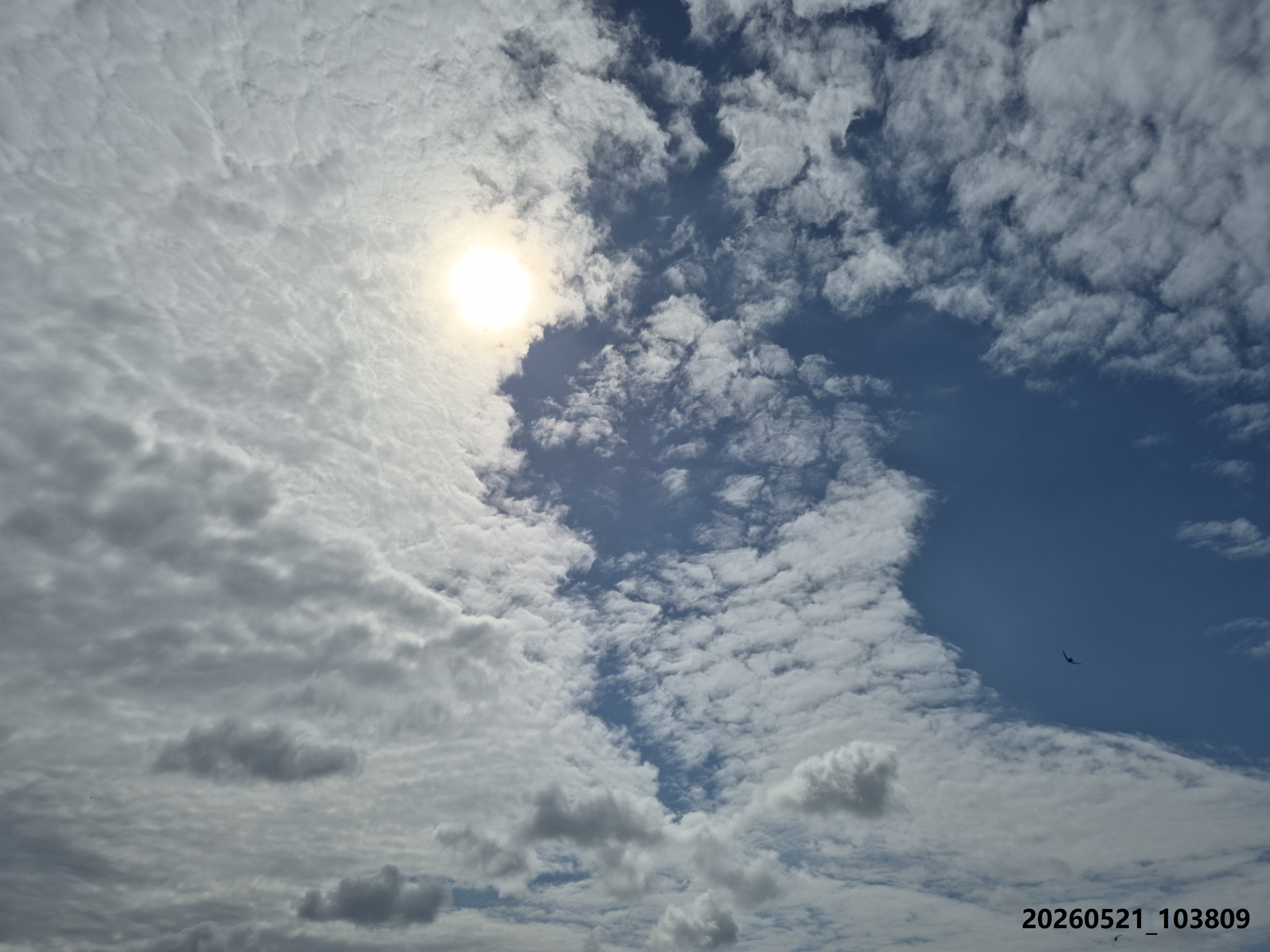 B2026_05_48