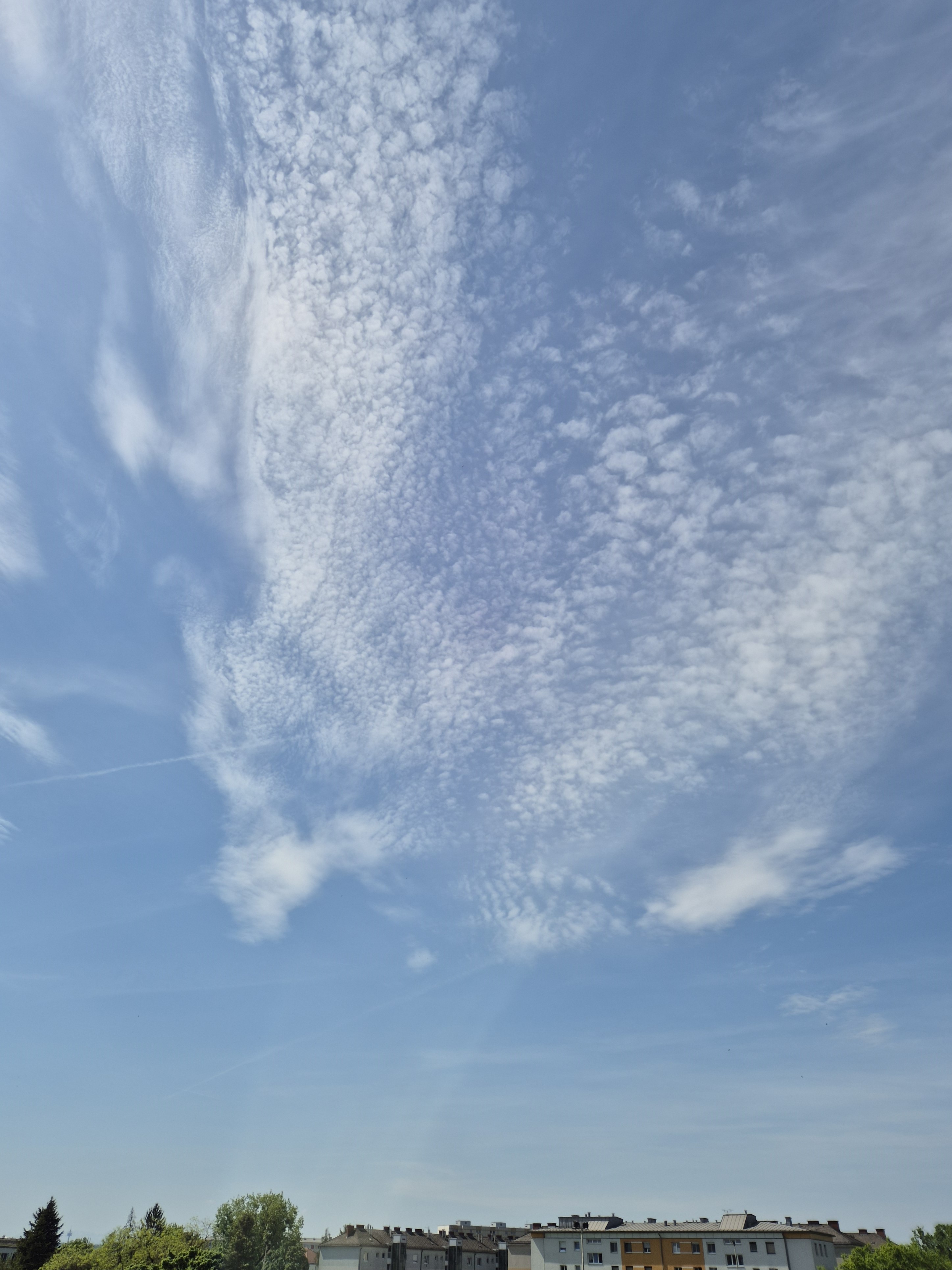B2026_05_5