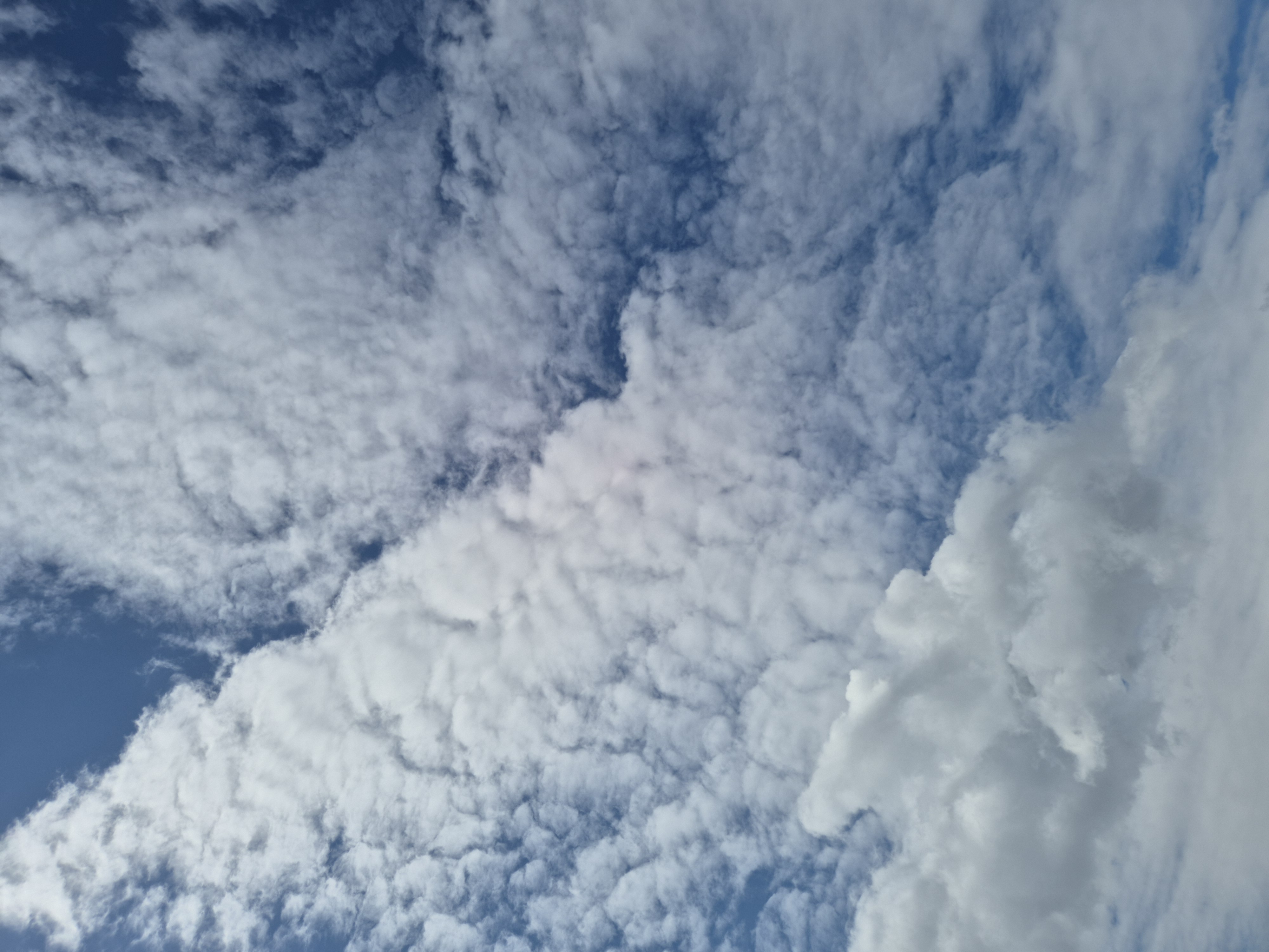 B2026_05_50