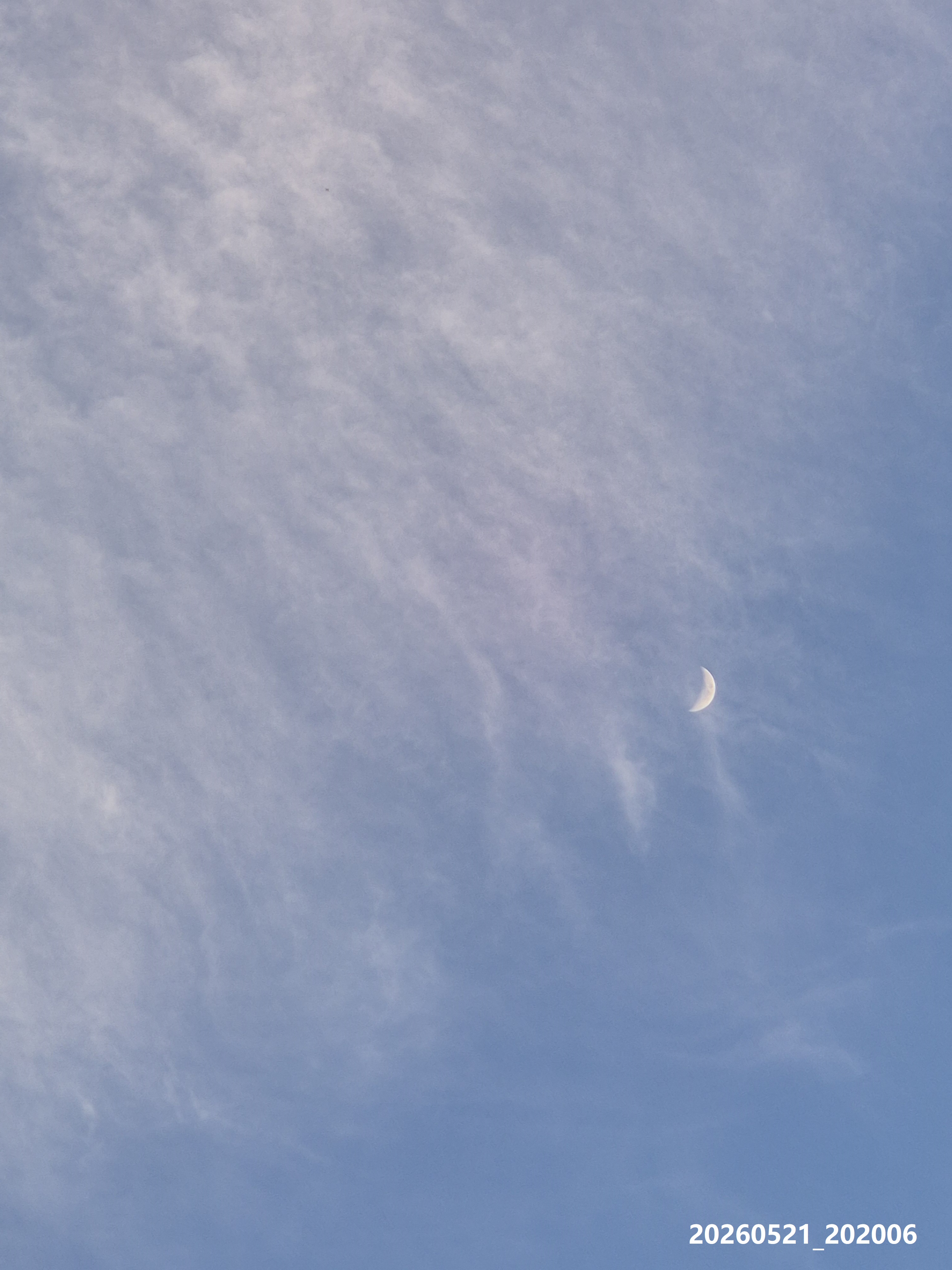 B2026_05_51