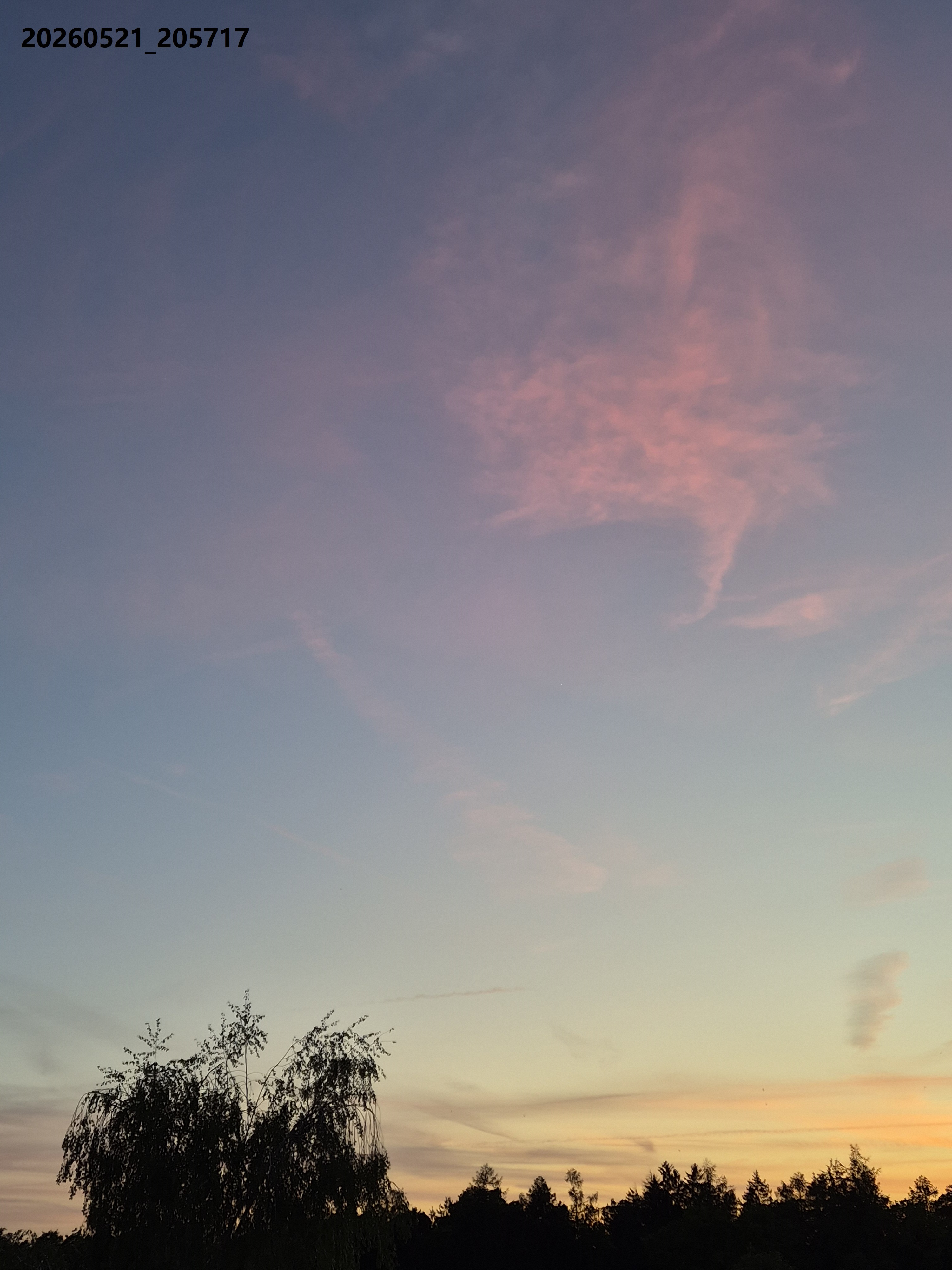 B2026_05_52