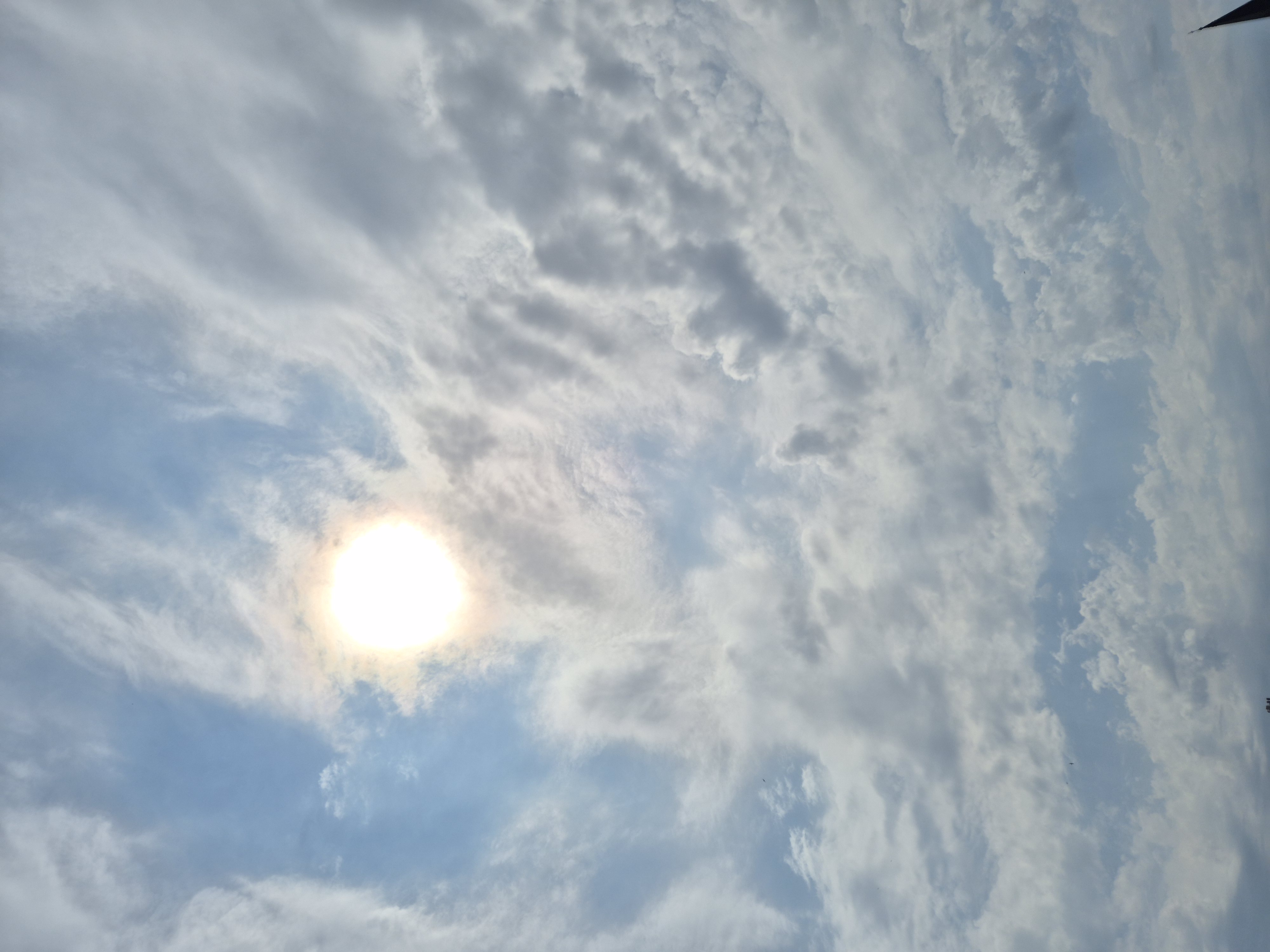 B2026_05_63