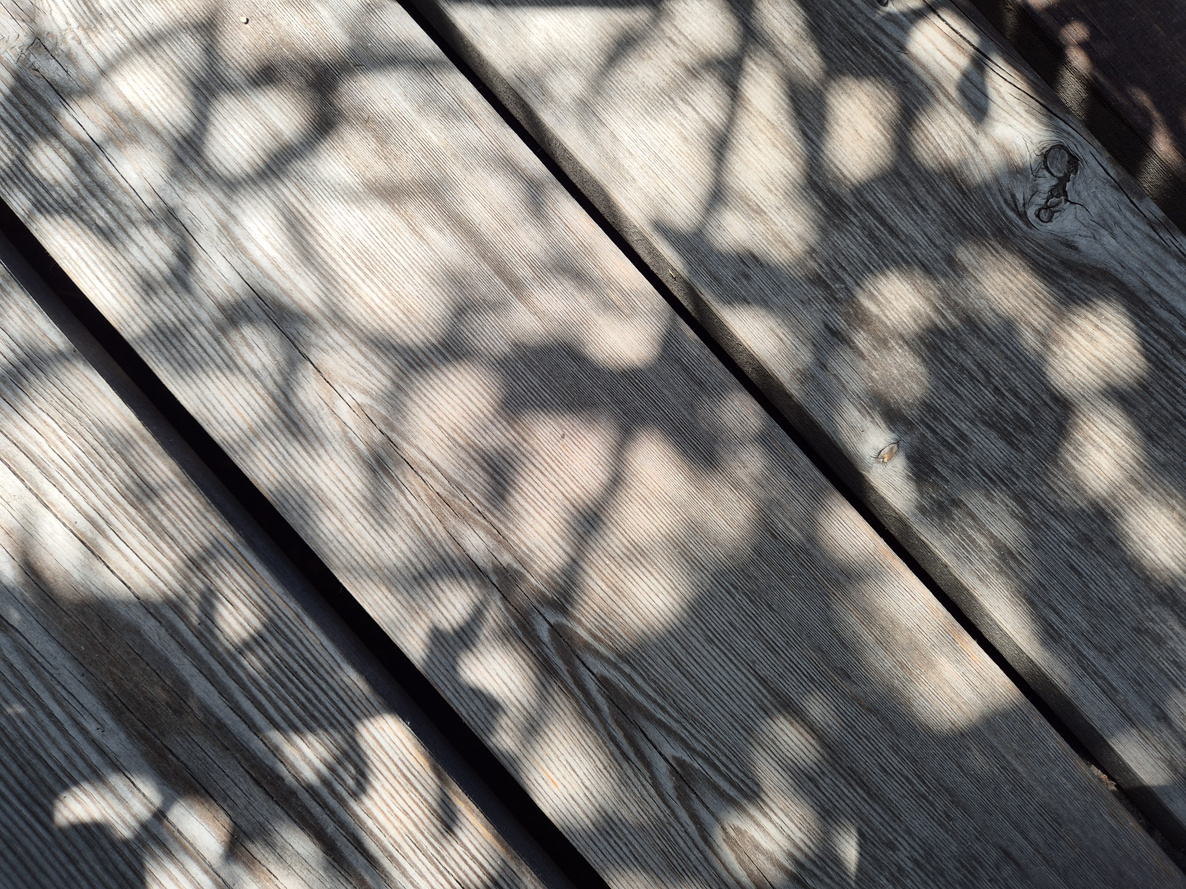 B2026_05_68