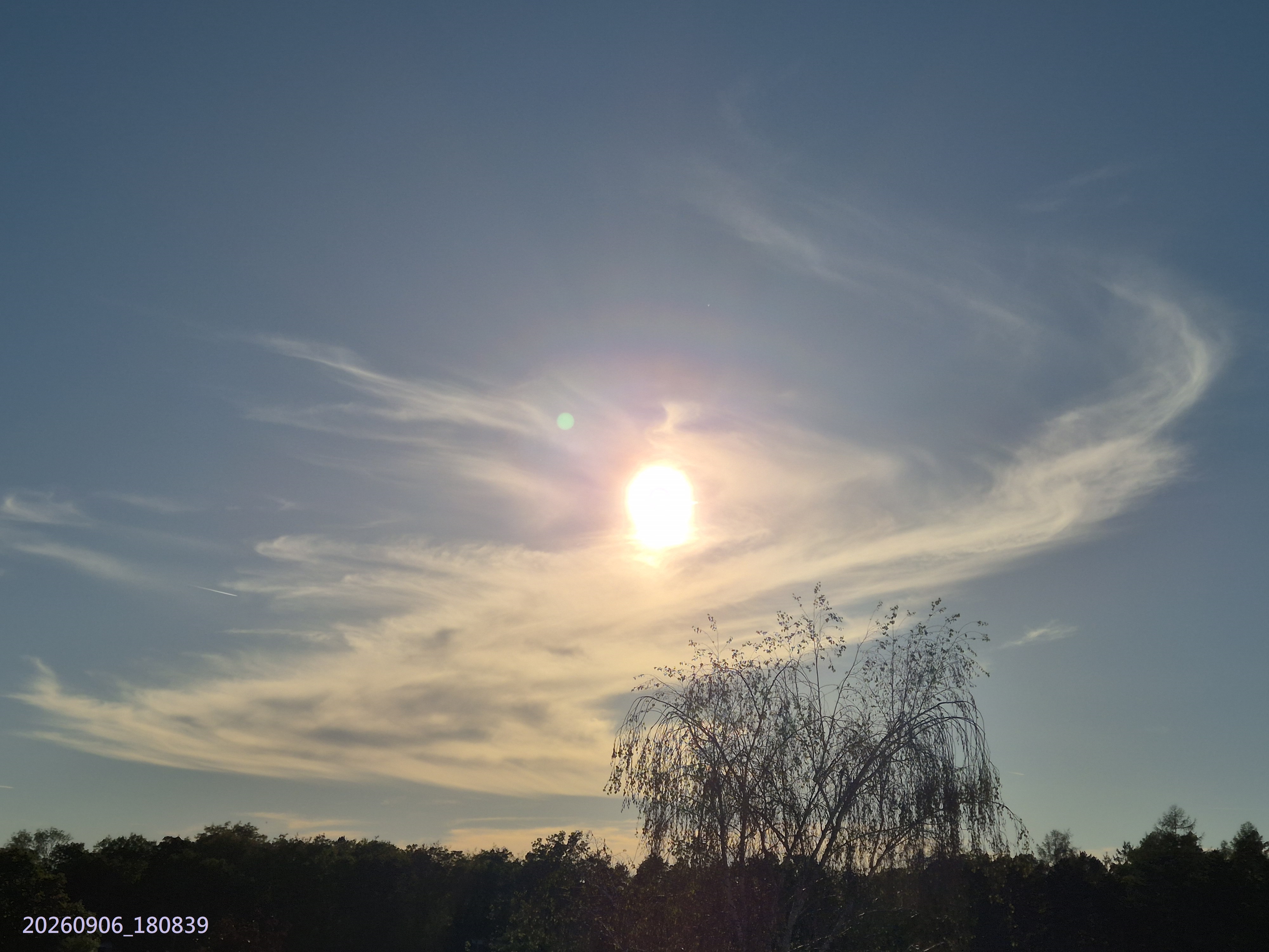 B2026_09_15