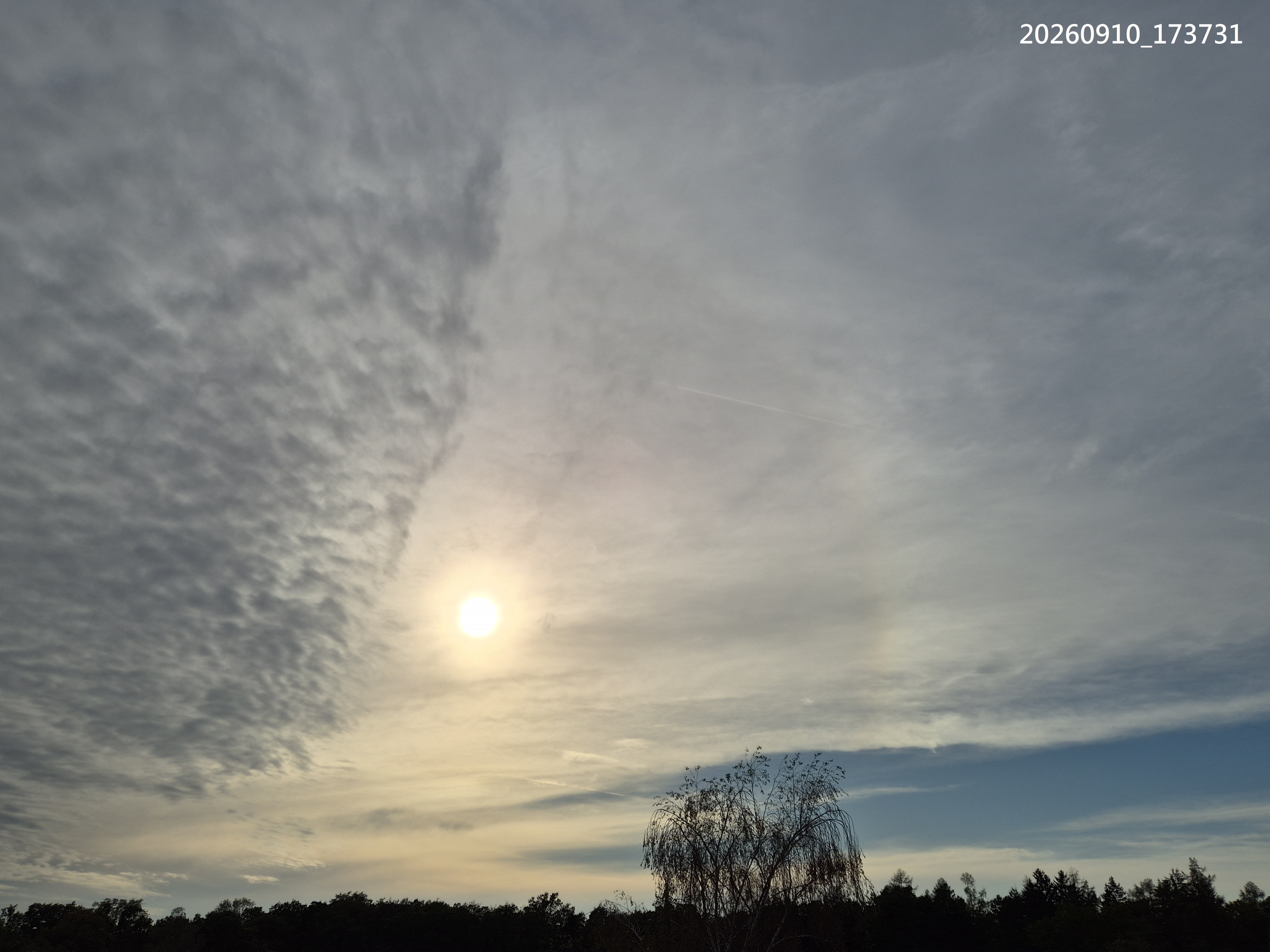B2026_09_26
