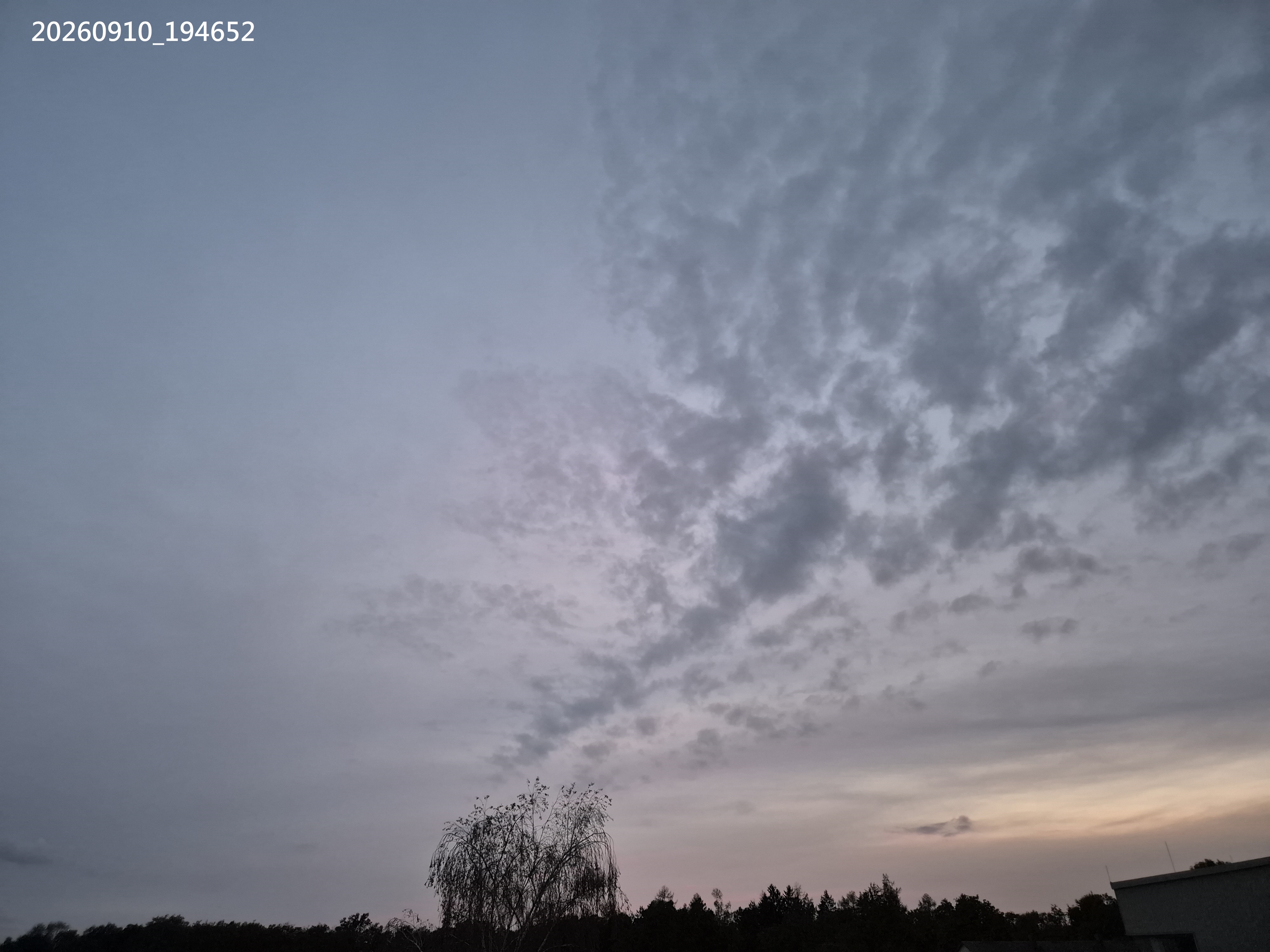 B2026_09_29