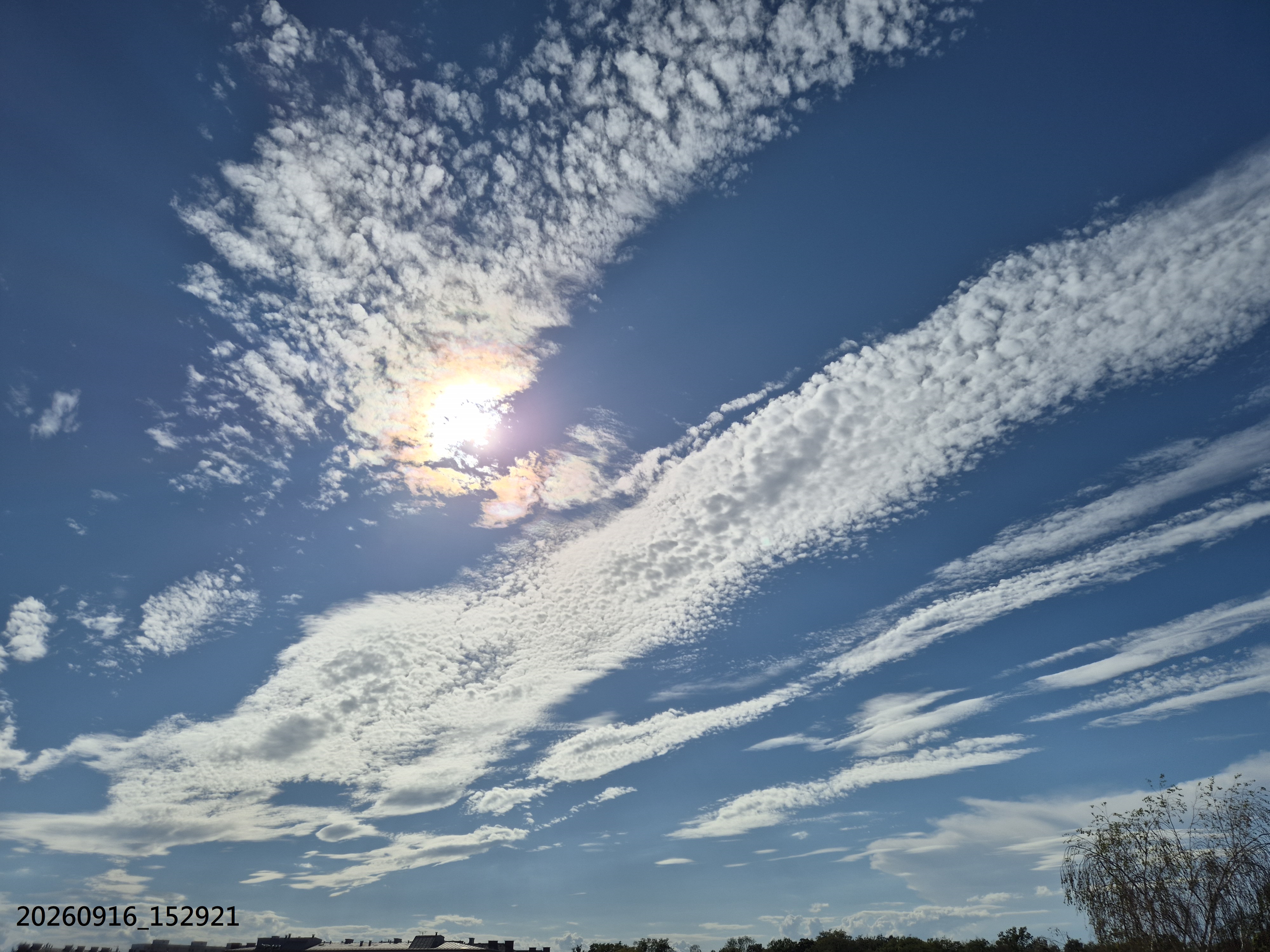B2026_09_48