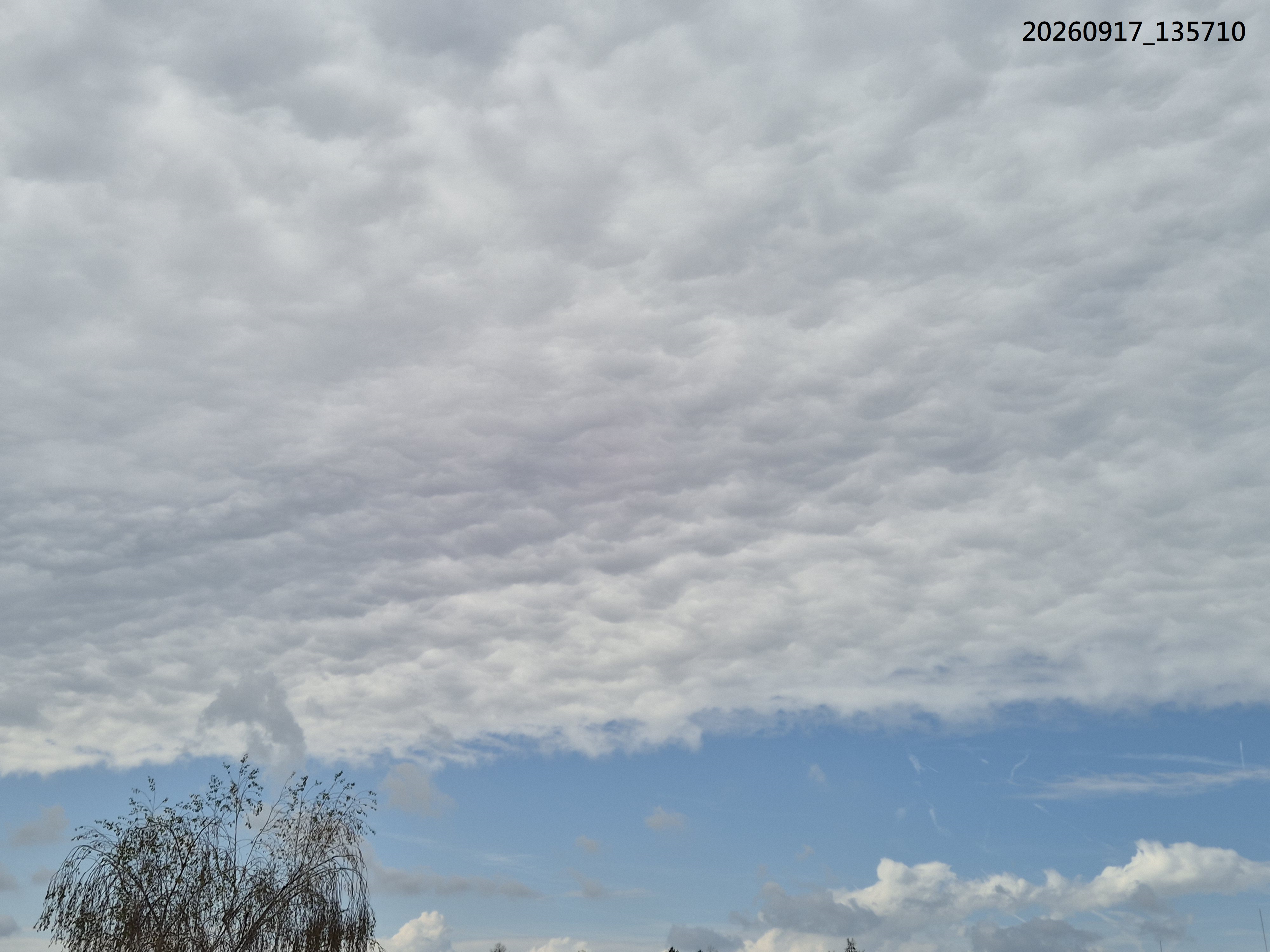 B2026_09_53