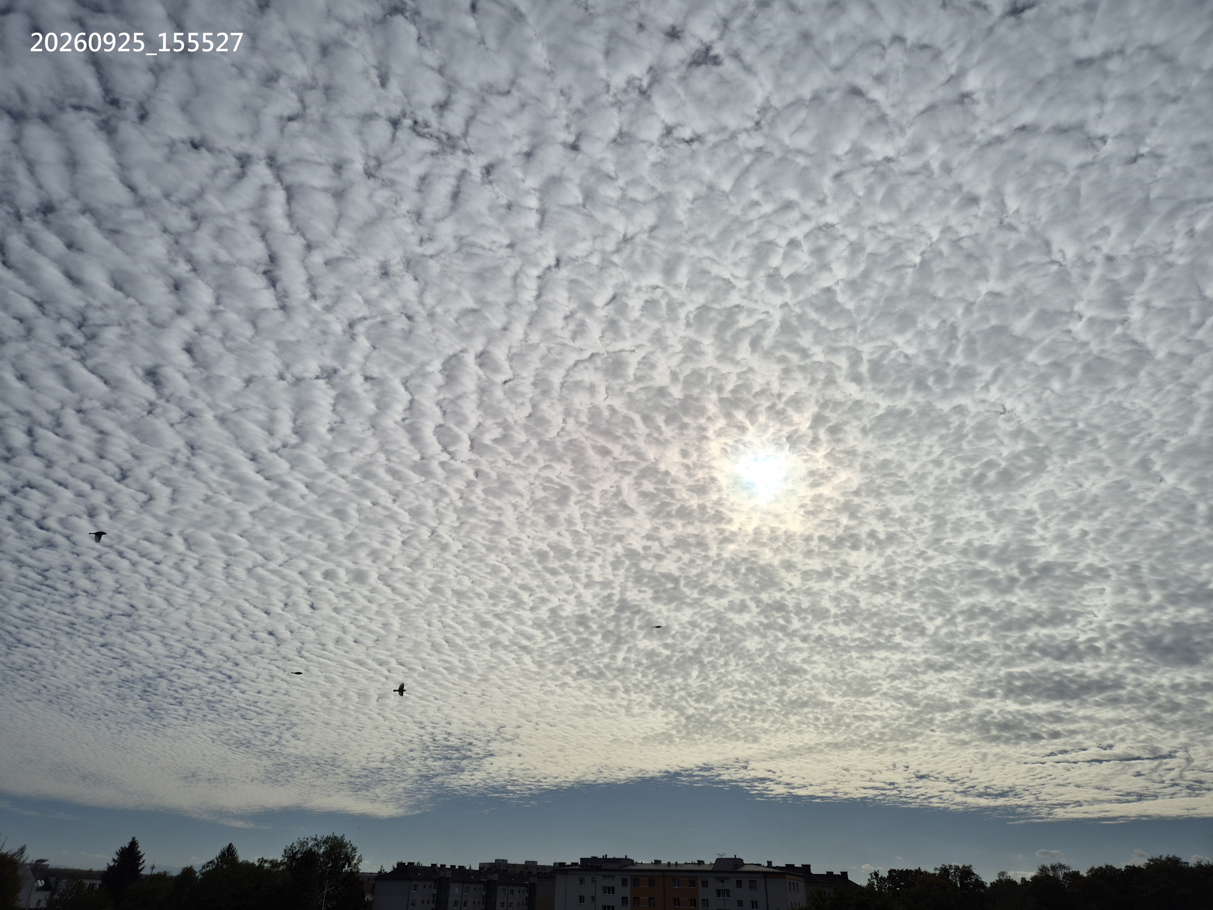 B2026_09_76