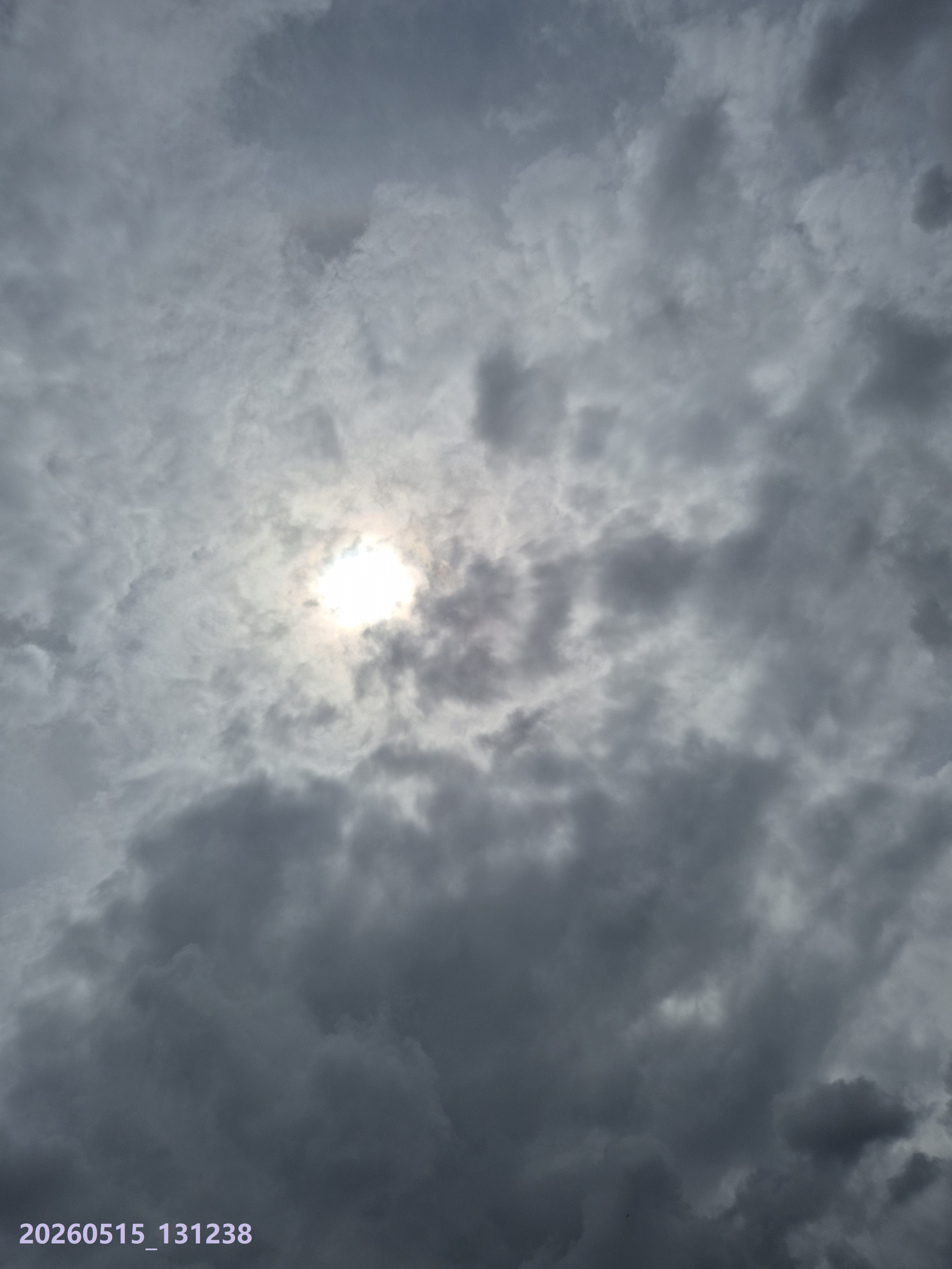 20260515_7